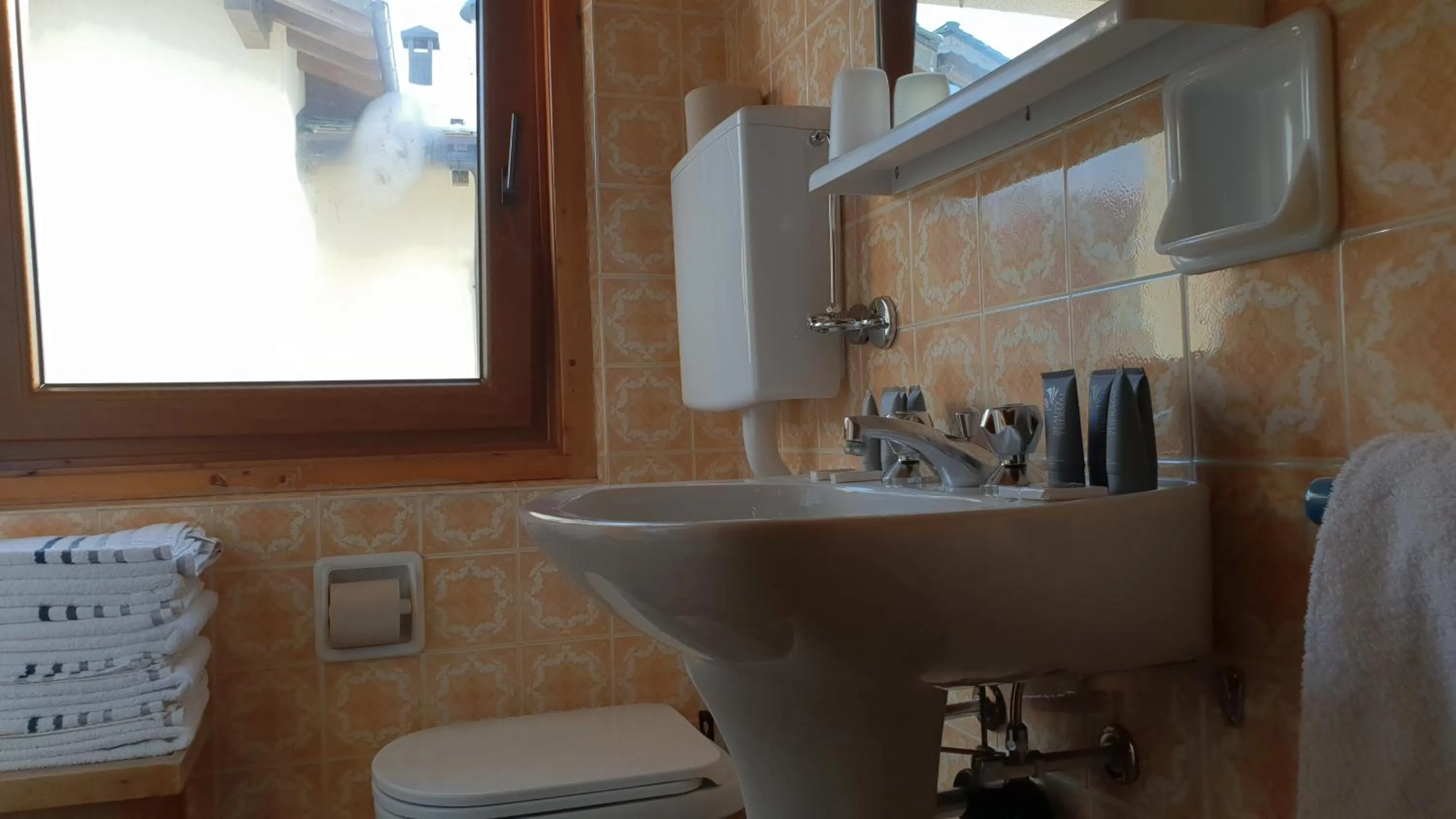 Bathroom in Alpino Lodge Bivio