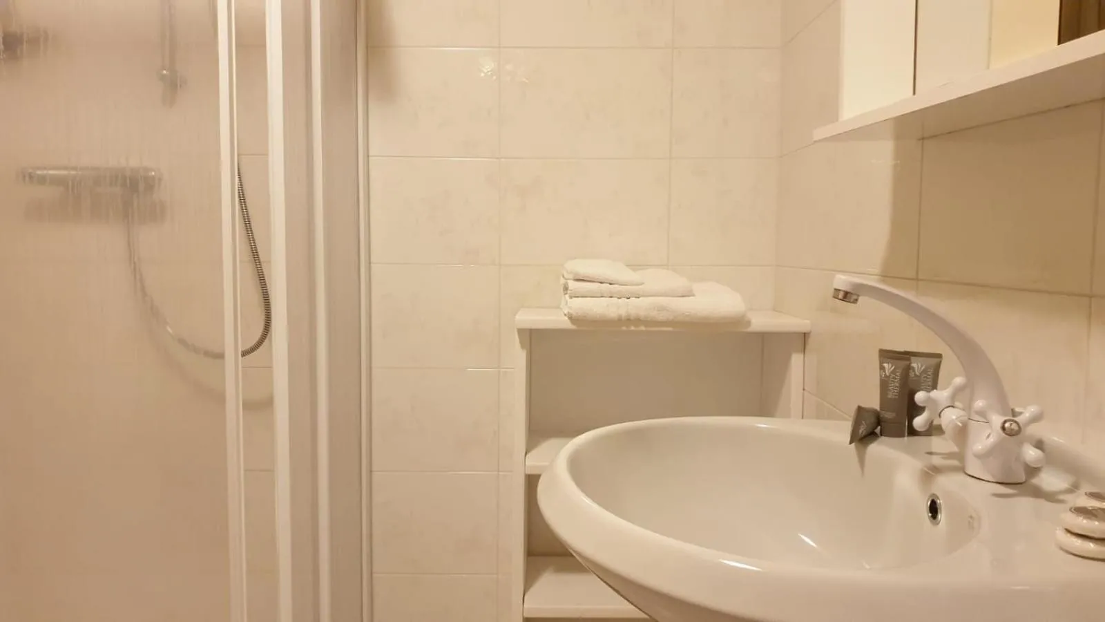 Bathroom in Alpino Lodge Bivio