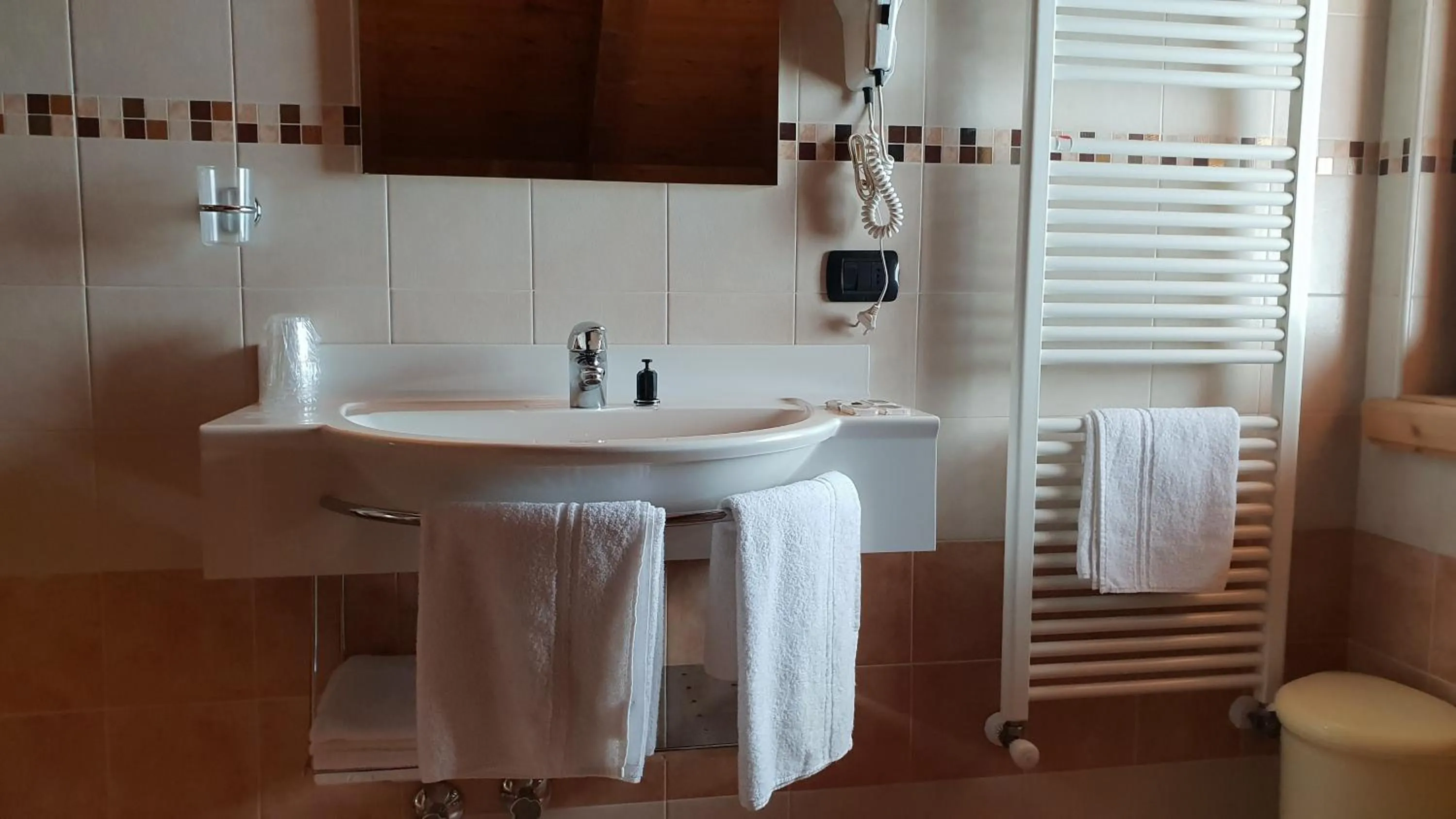 Bathroom in Alpino Lodge Bivio