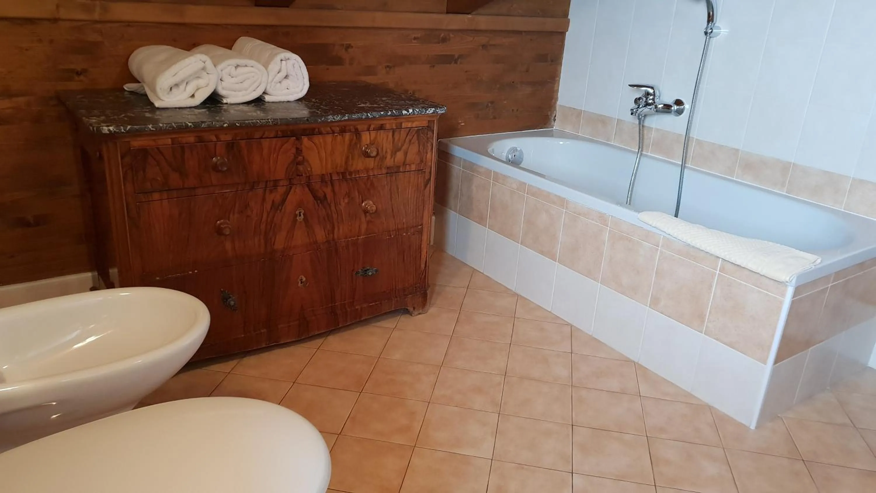 Bathroom in Alpino Lodge Bivio