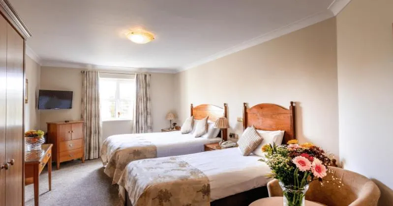 Twin Room - single occupancy in The Newgrange Hotel