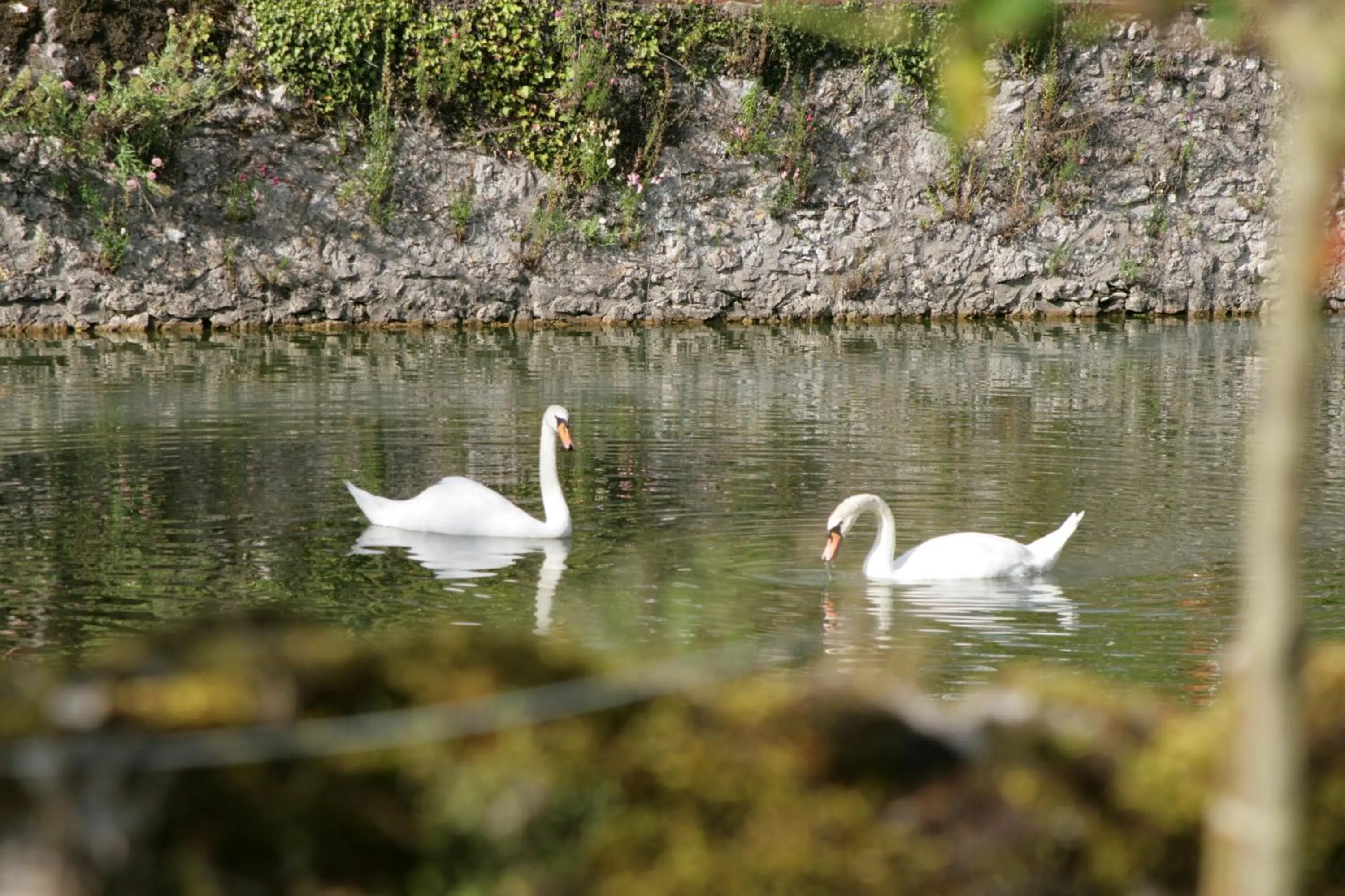 Lake view in Les Douves