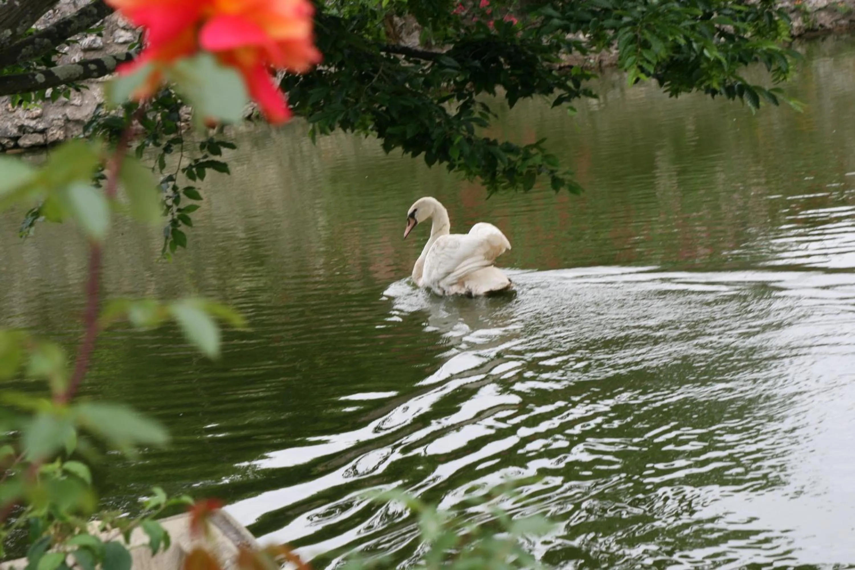 Lake view in Les Douves