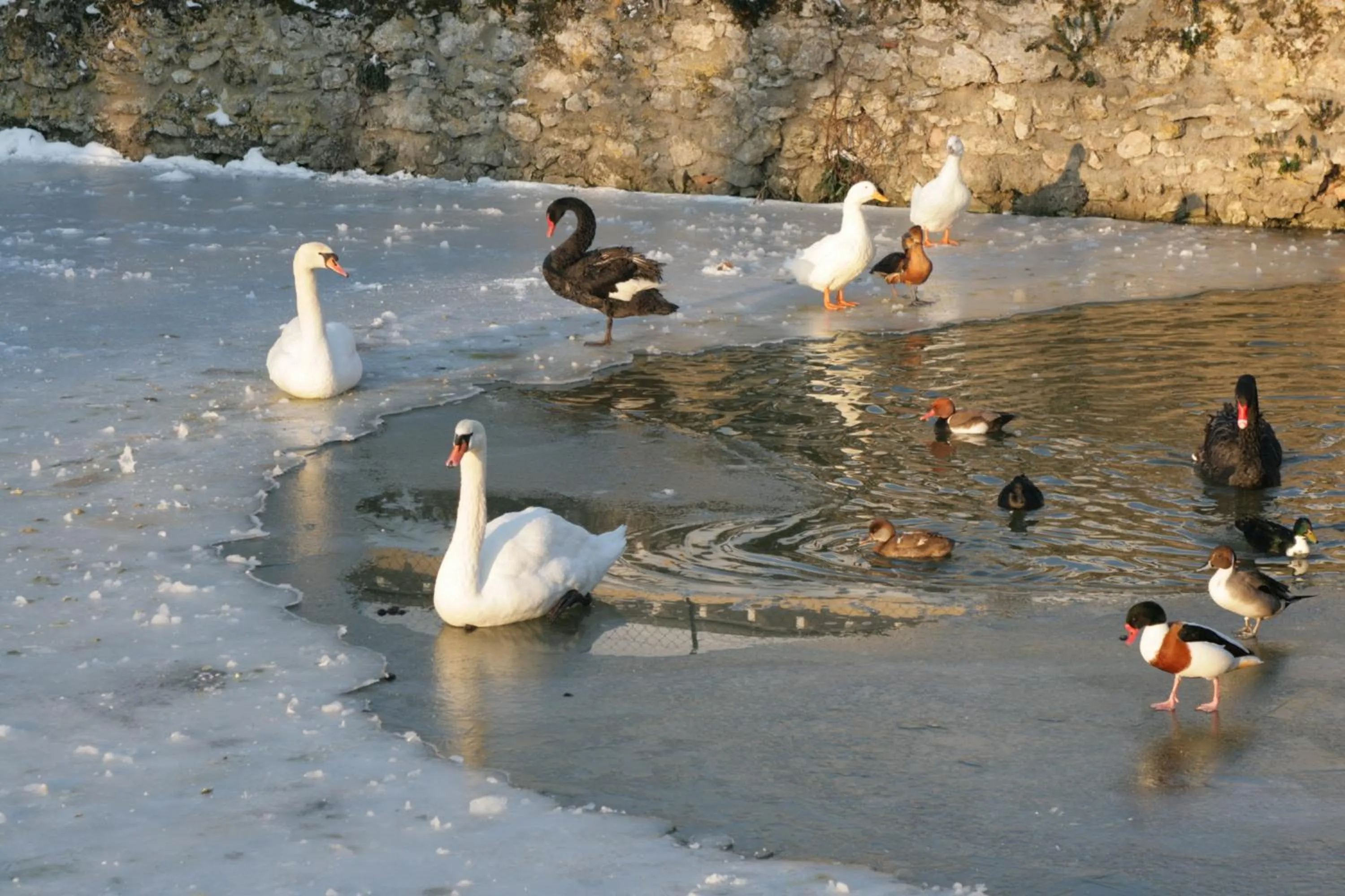 Lake view in Les Douves