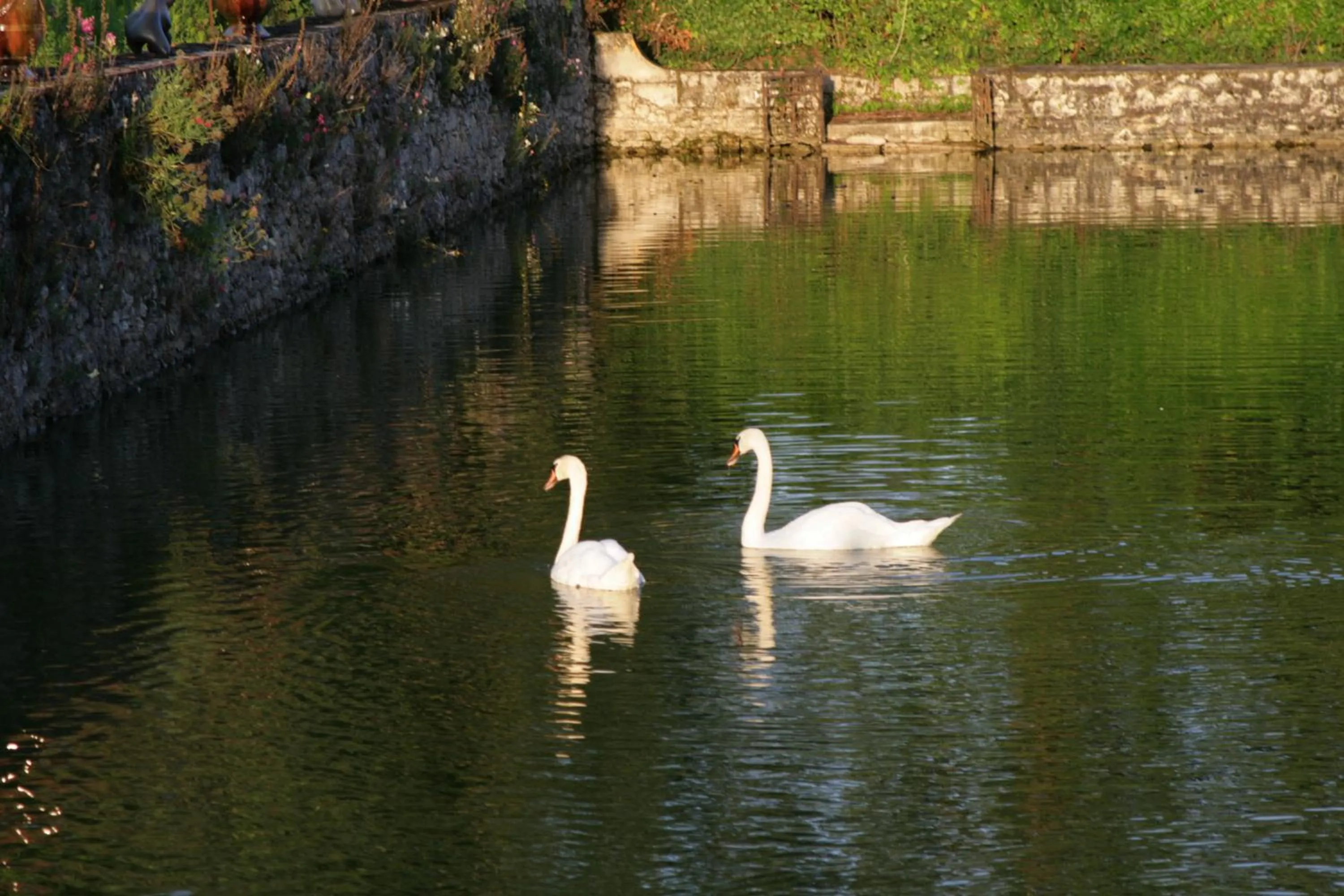 Lake view in Les Douves