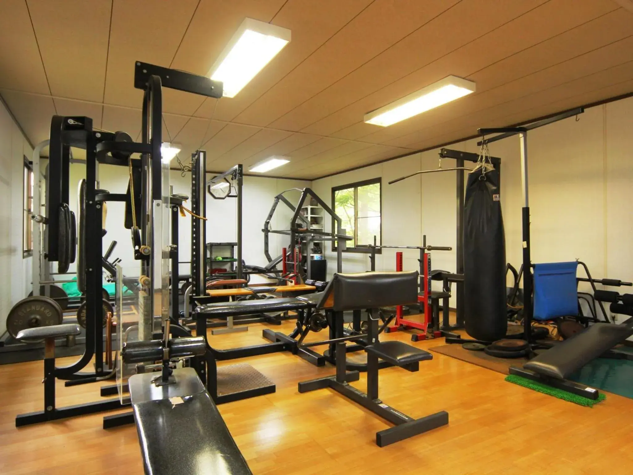 Fitness centre/facilities in Pension Peppermint House Fitness centre/facilities in Pension Peppermint House