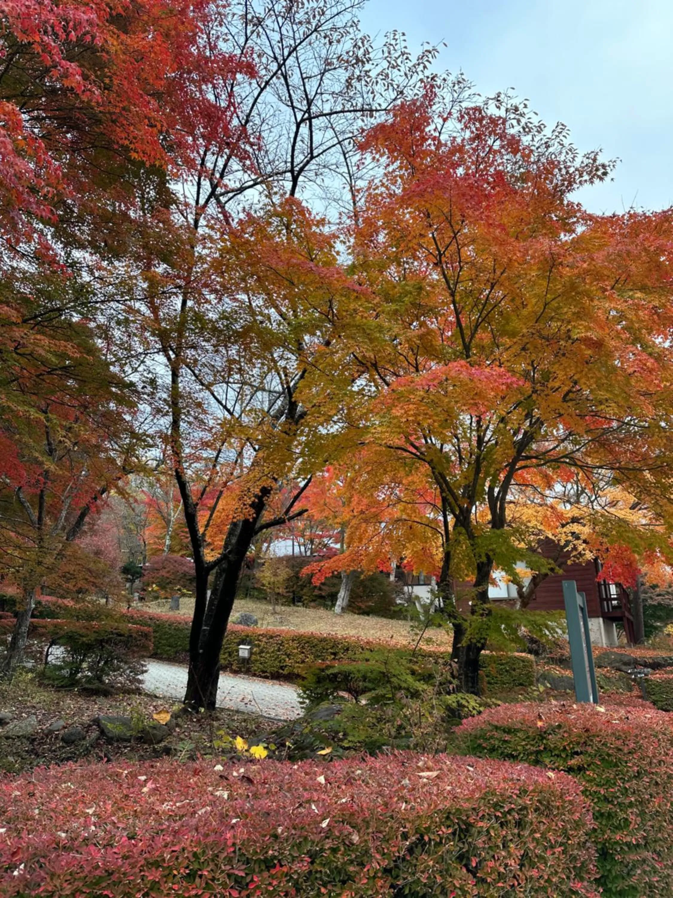 Off site in Pension Peppermint House