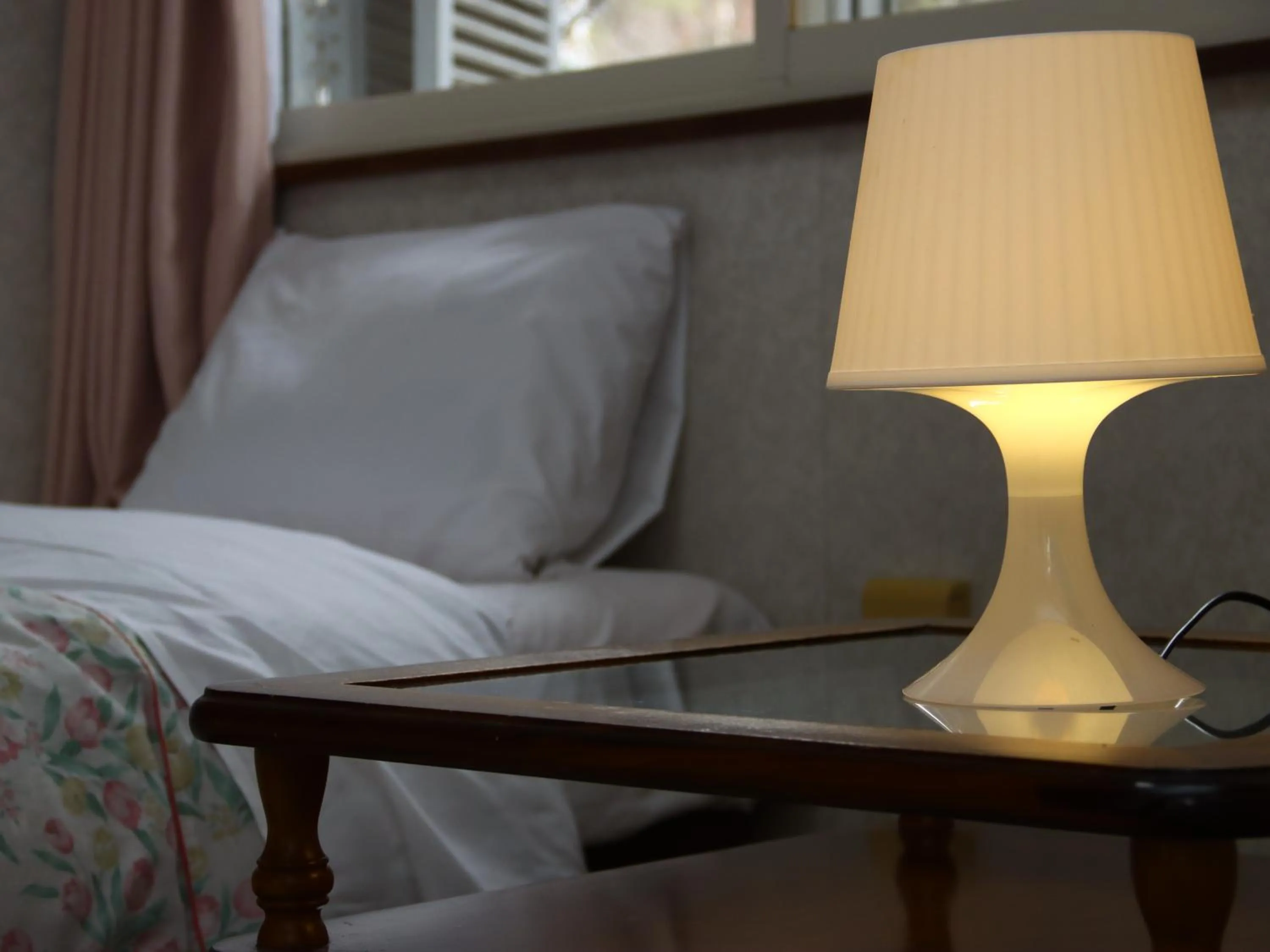 Photo of the whole room in Pension Peppermint House