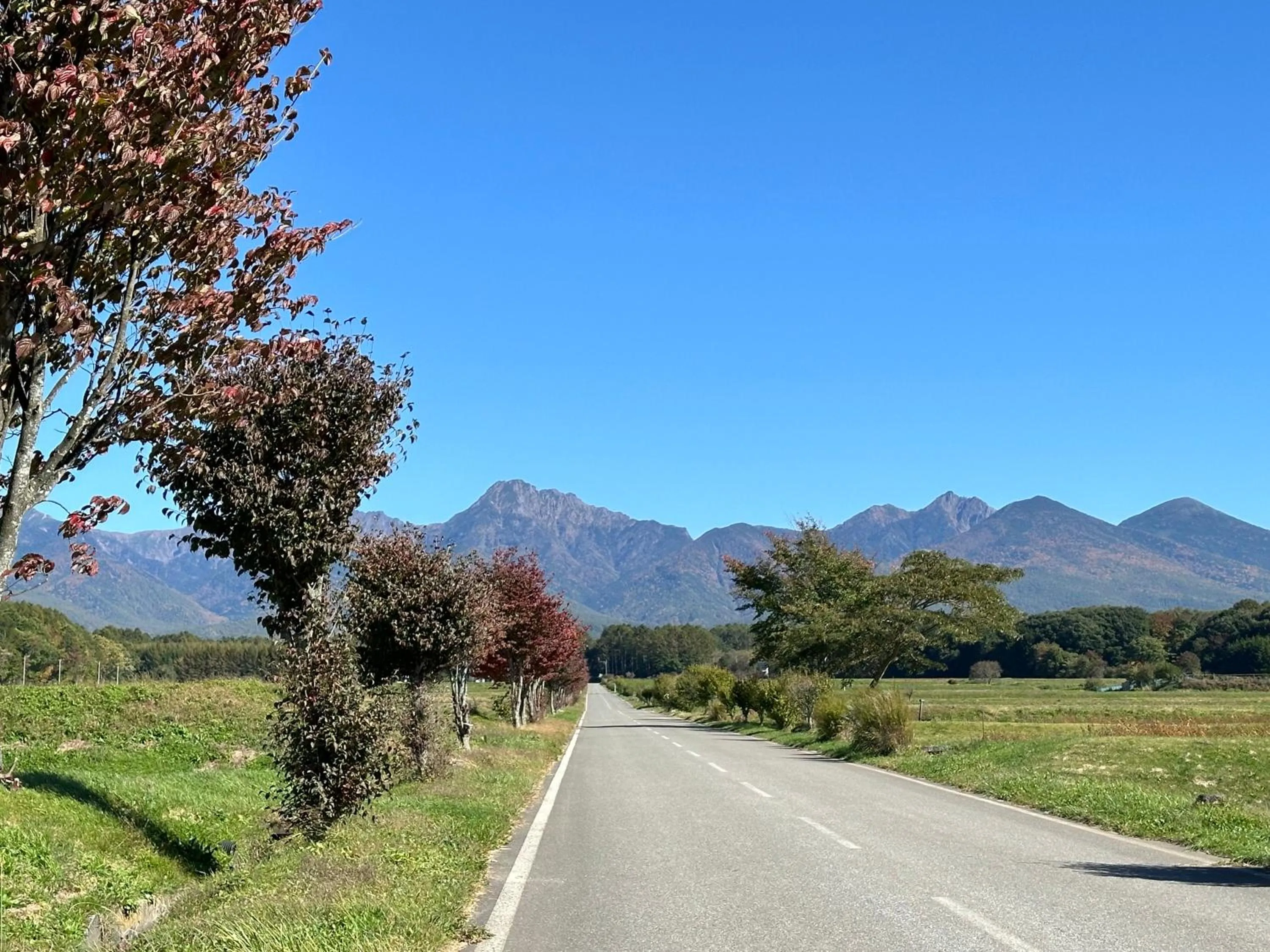 Off site in Pension Peppermint House