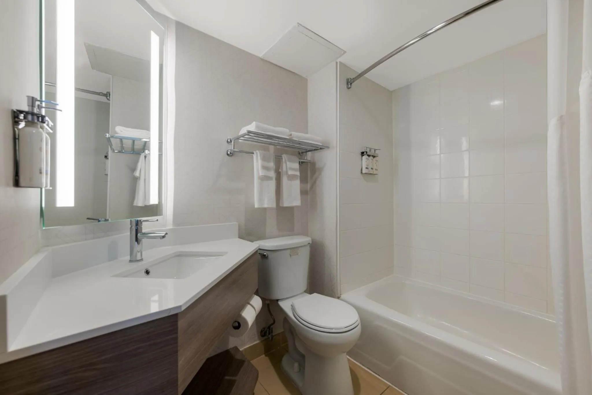 Bathroom in Holiday Inn Express Hotels- Hampton by IHG