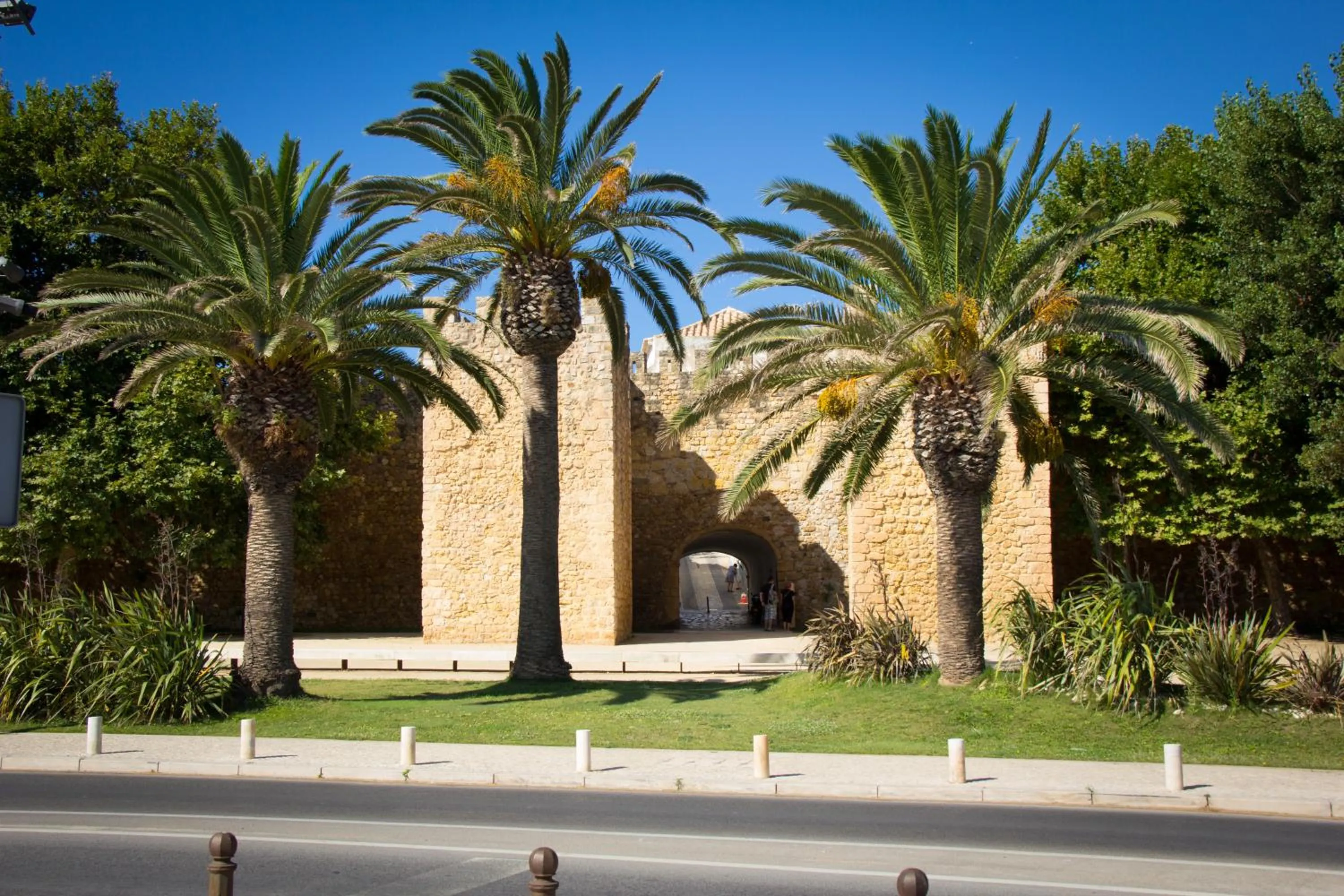 Activities in Boutique Hotel Marina S. Roque