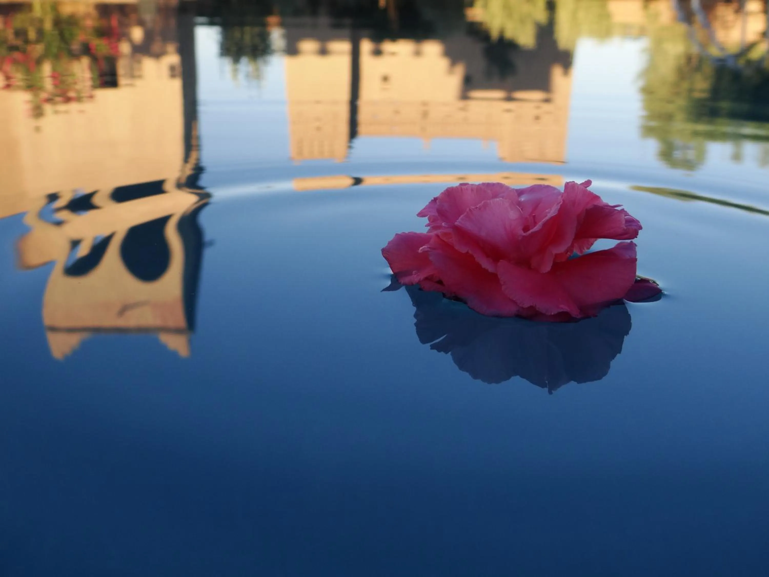 Day in Auberge Famille Benmoro