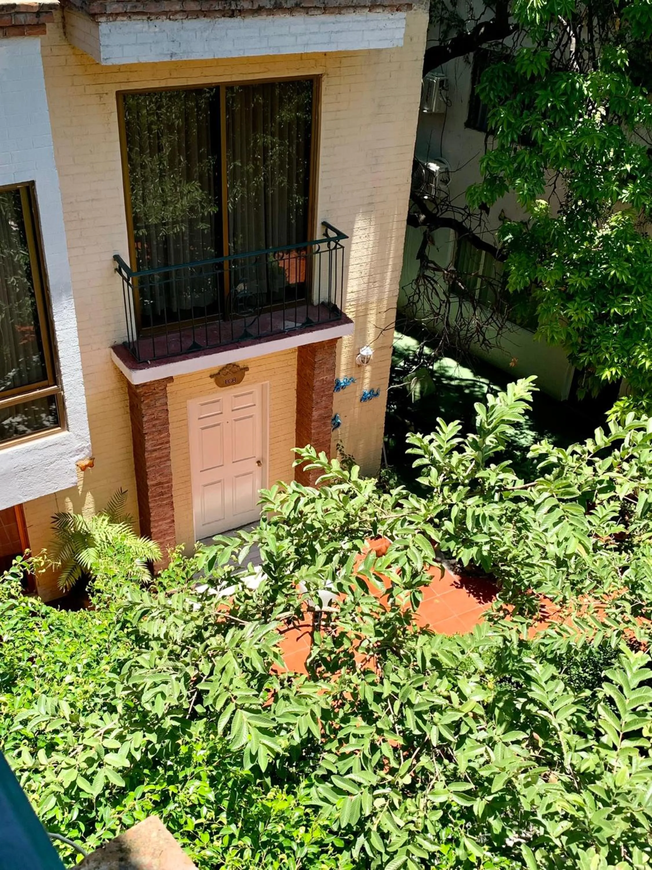 Garden view in Hotel Inn Galerias