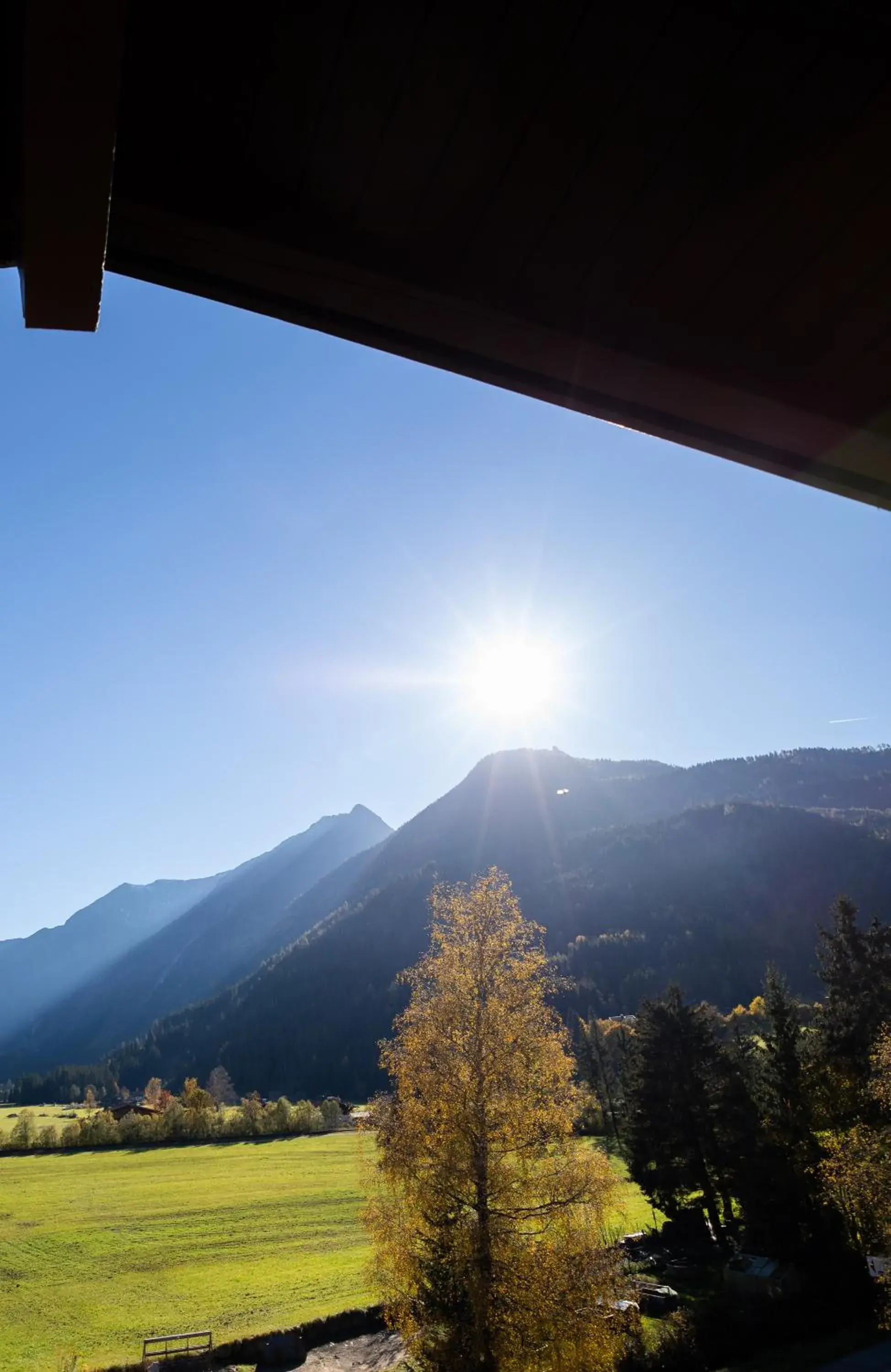 Family Room with Mountain View in Hotel Wildrose Family Room with Mountain View in Hotel Wildrose