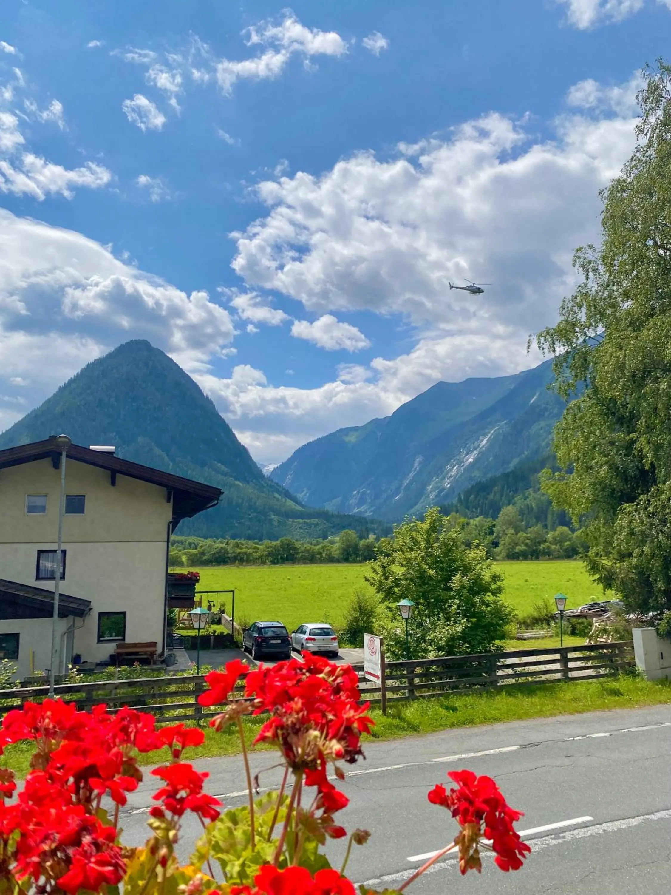 Day in Hotel Wildrose