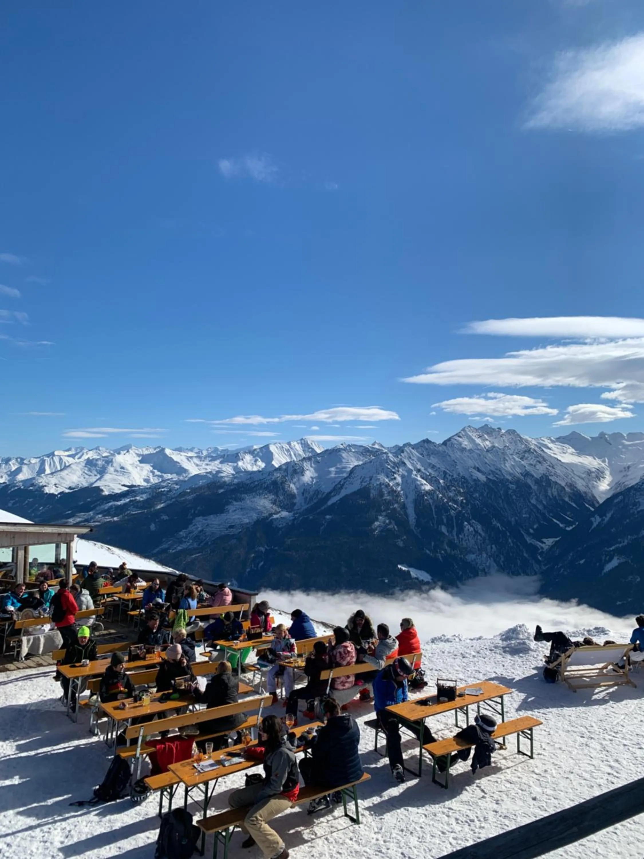 Winter in Hotel Wildrose