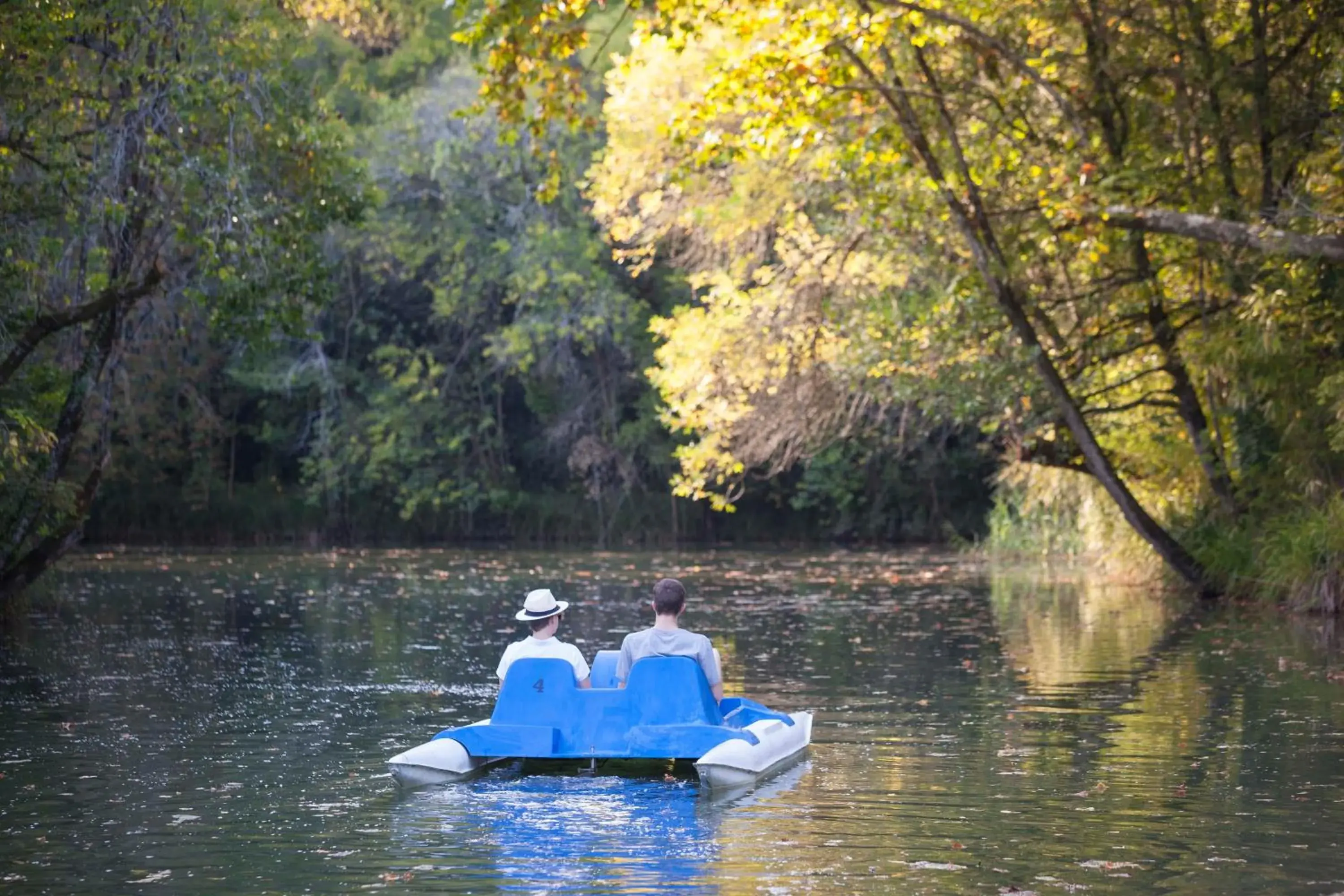 Property building in Hotel Termas da Curia Property building in Hotel Termas da Curia