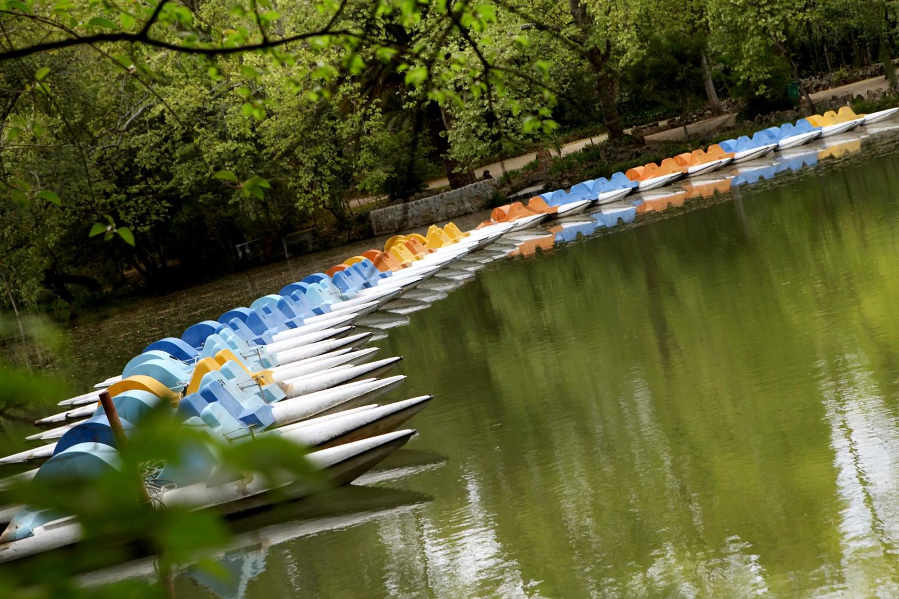 Area and facilities in Hotel Termas da Curia