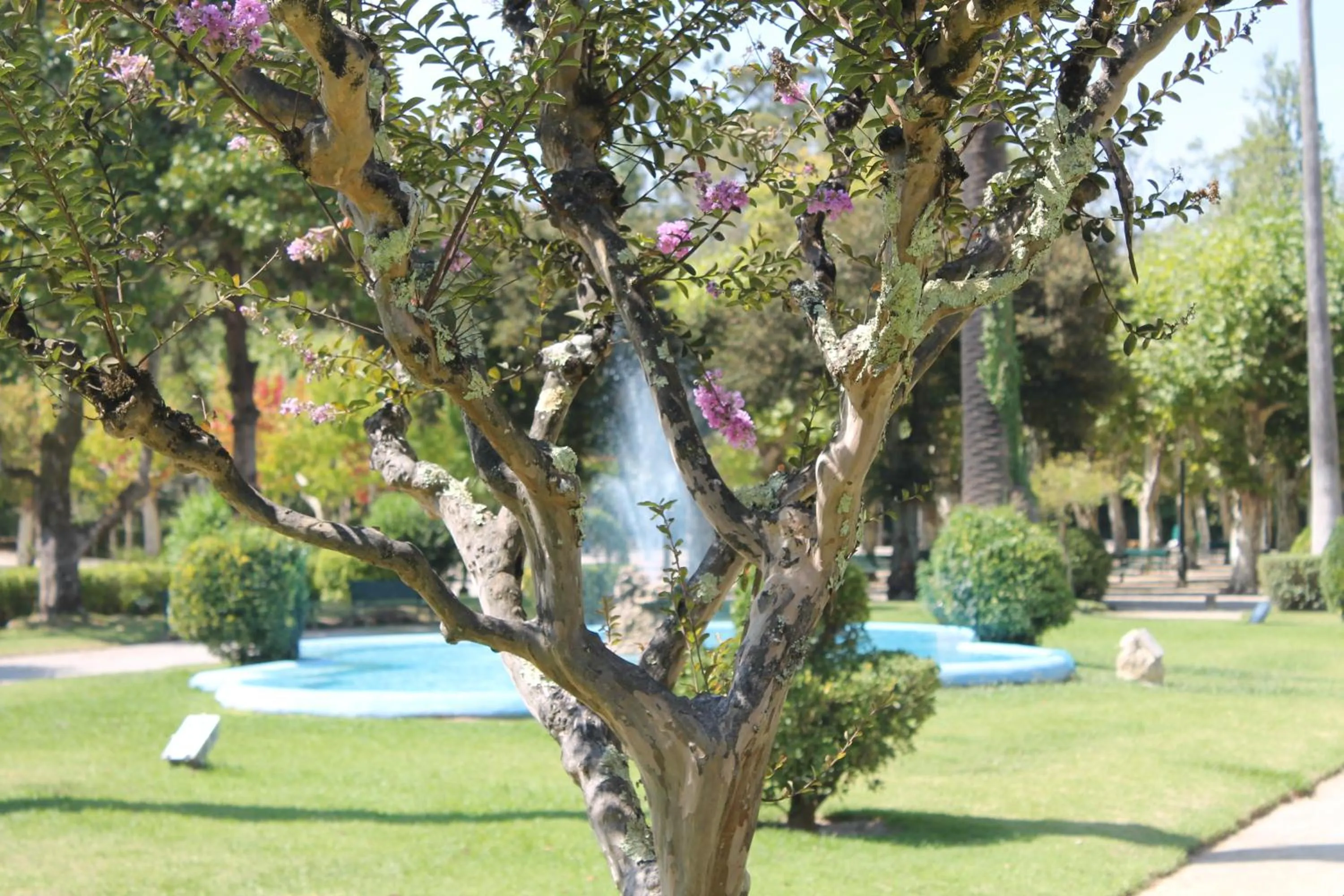 Day in Hotel Termas da Curia