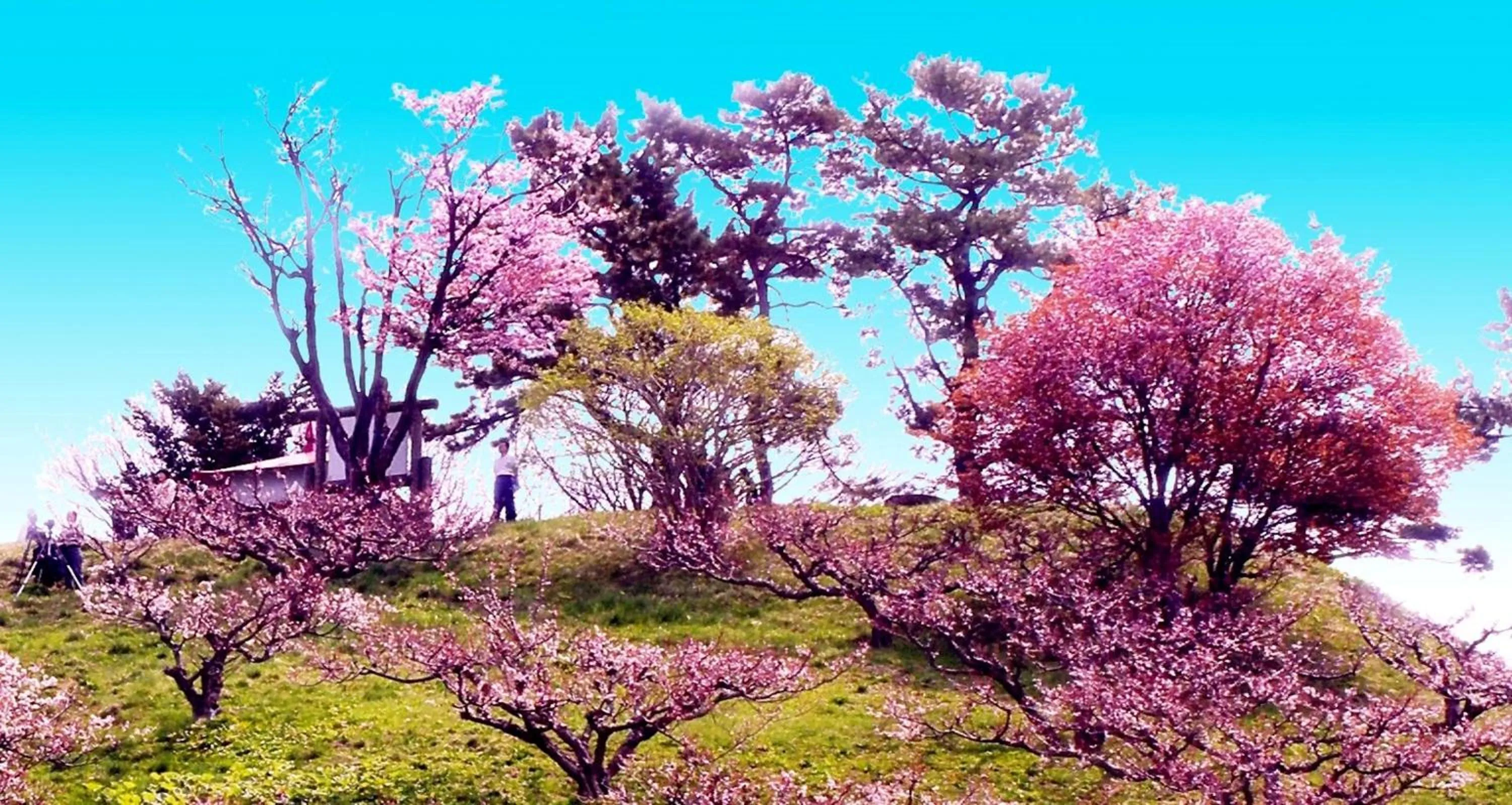 Area and facilities in Hotel Nakanoshima