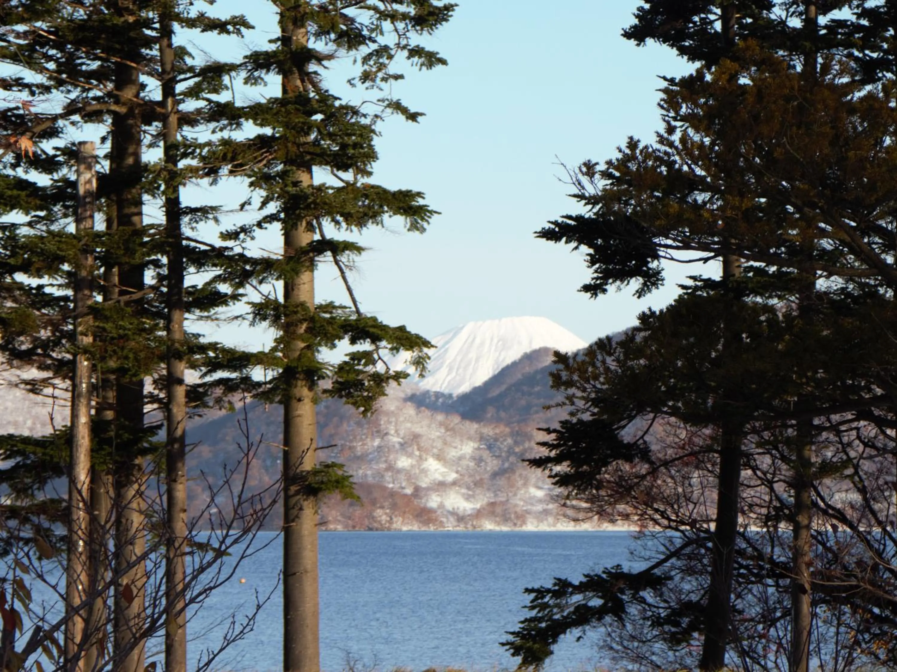 Off site in Hotel Nakanoshima