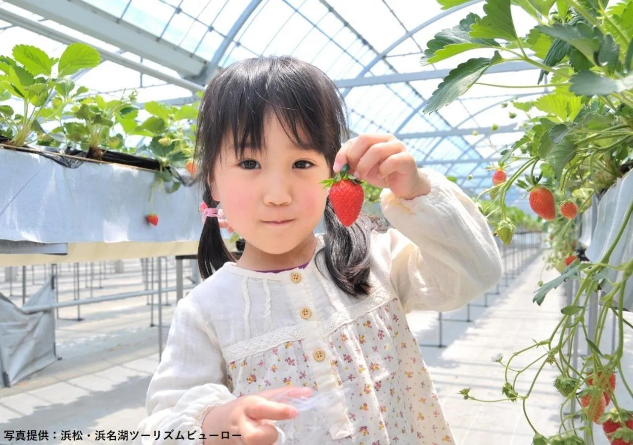 Nearby landmark in Hamamatsu Hotel
