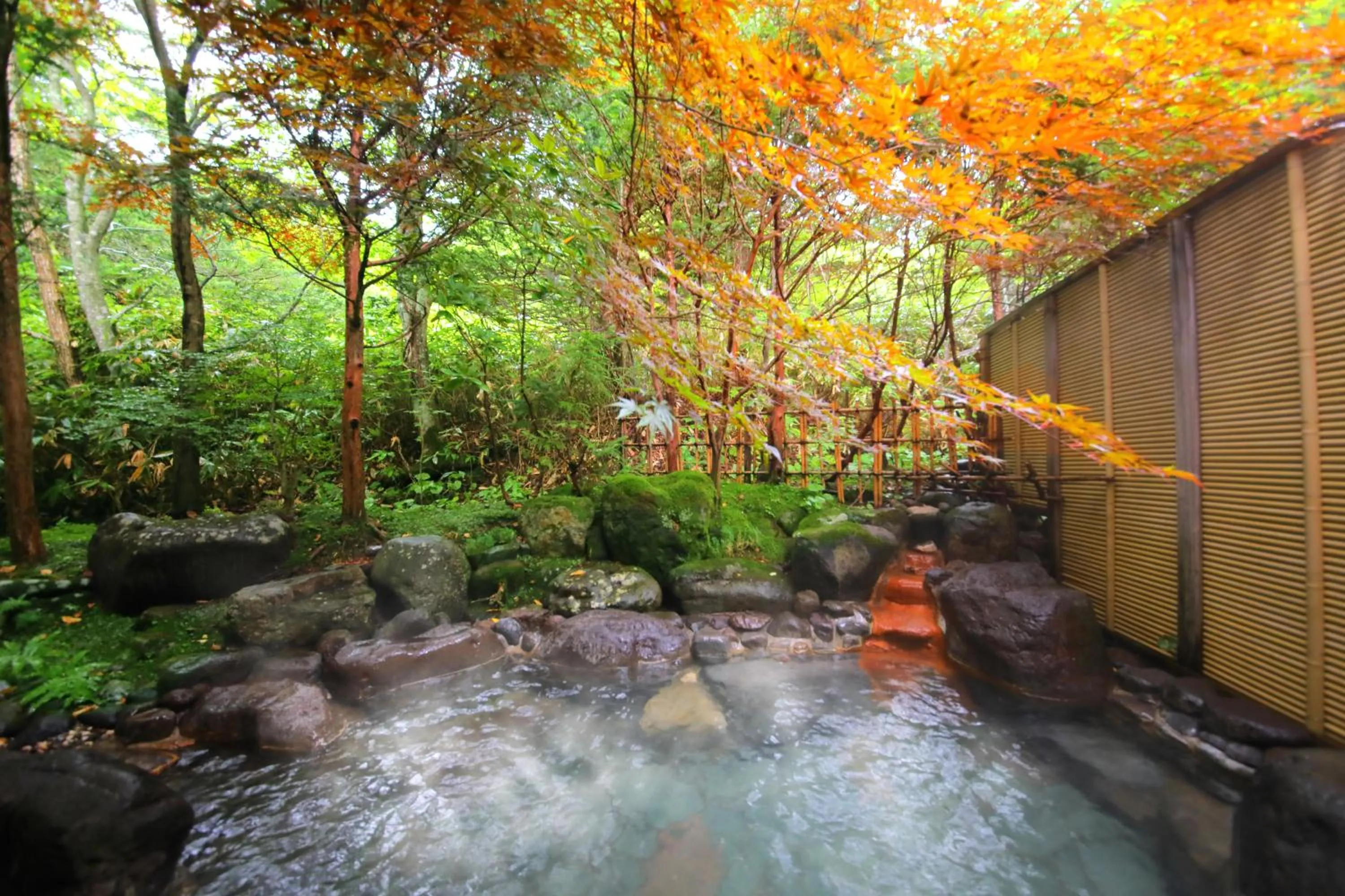 Hot Spring Bath in Sanseikan