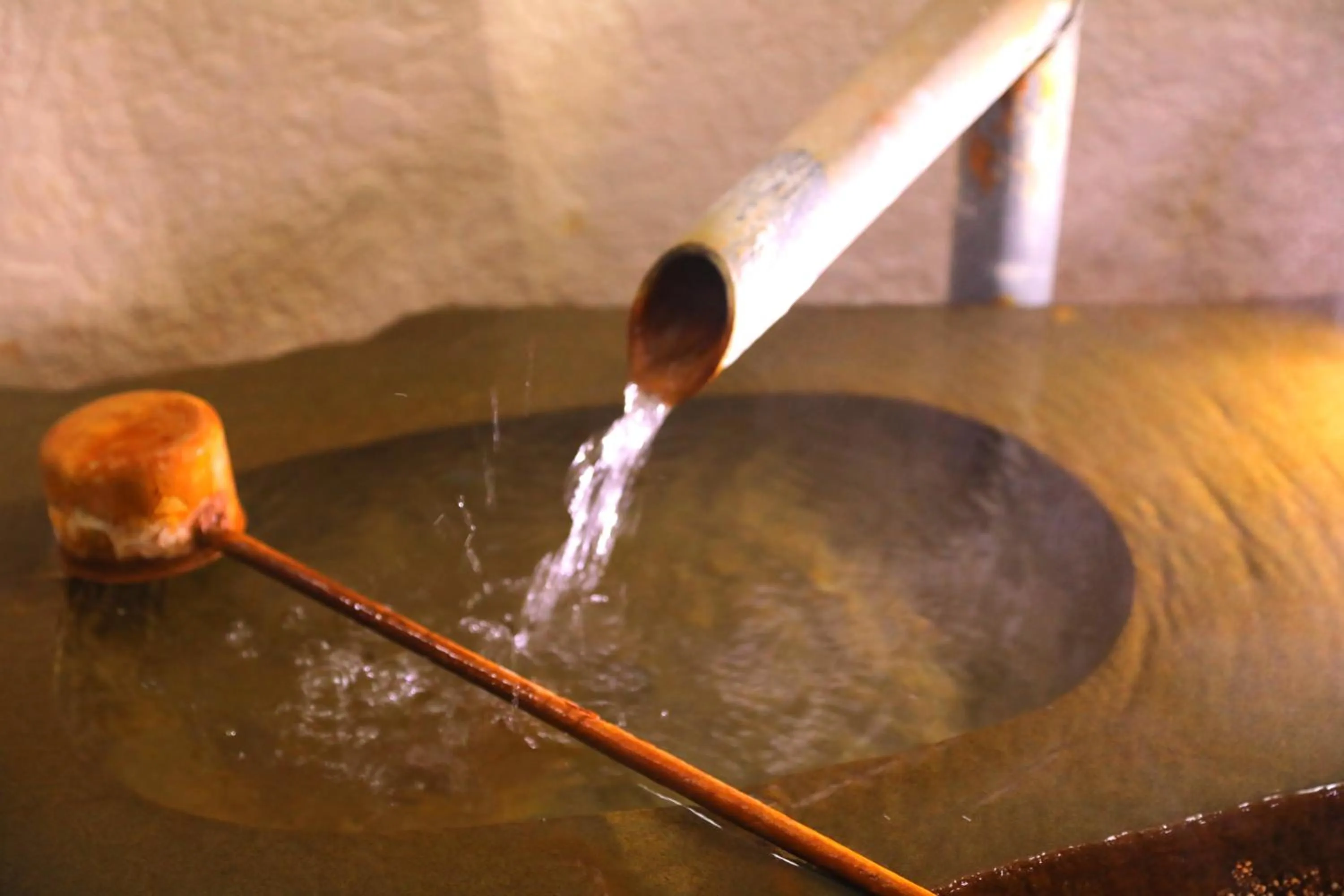 Hot Spring Bath in Sanseikan