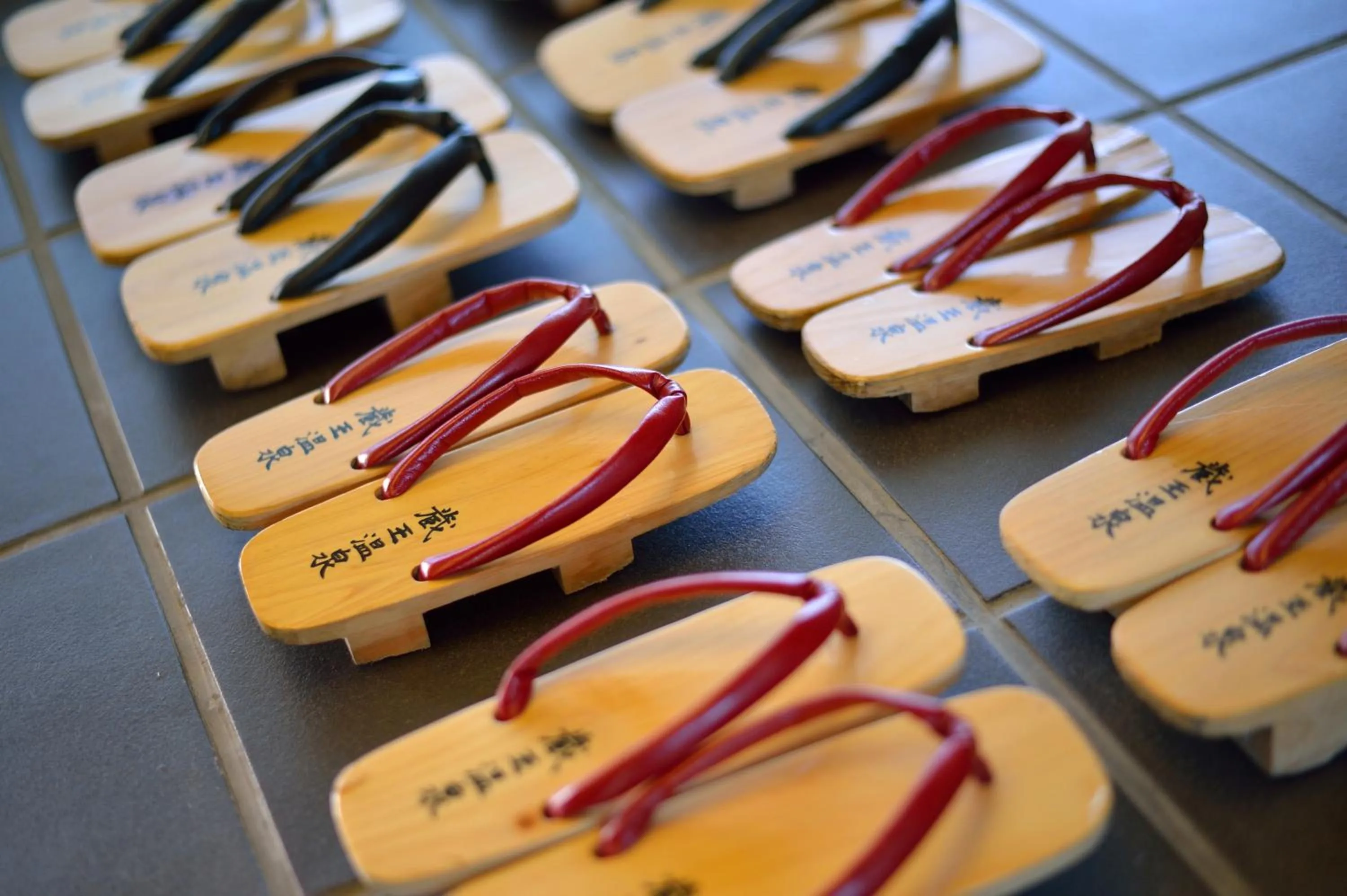 Garden in Wakamatsuya