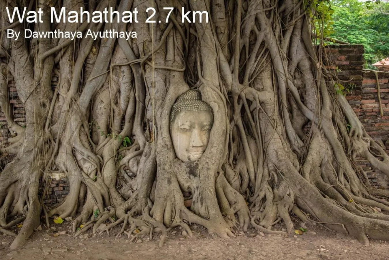 Dawnthaya Ayutthaya Art House บ้านดอนธยๅ อยุธยา