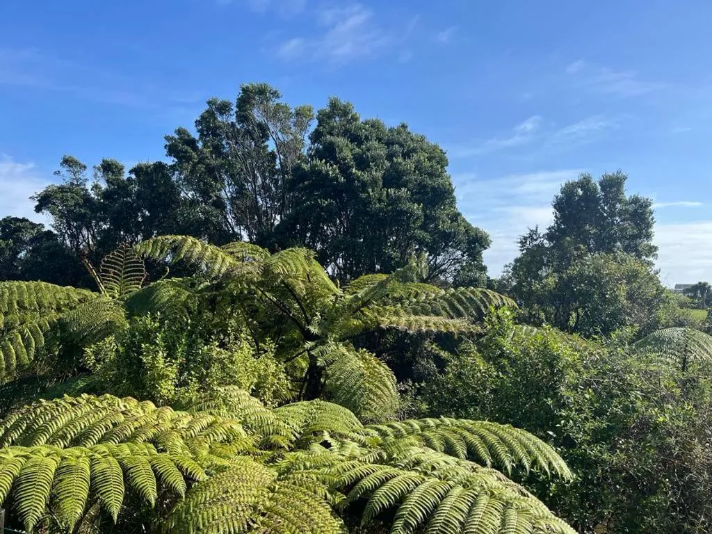 Garden in Global Village Travellers Lodge