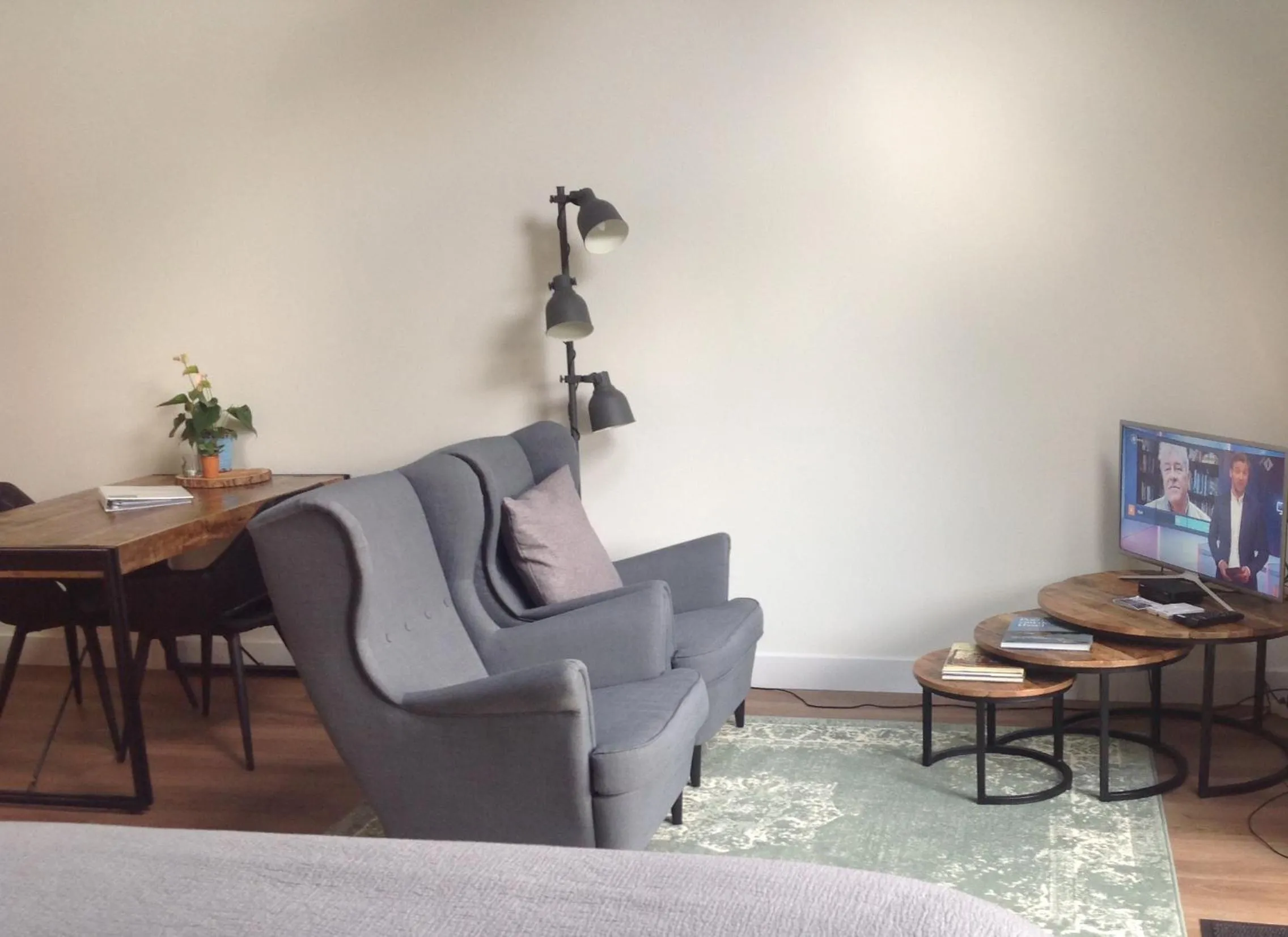 TV and multimedia in B&B De Veluwe Hoeve