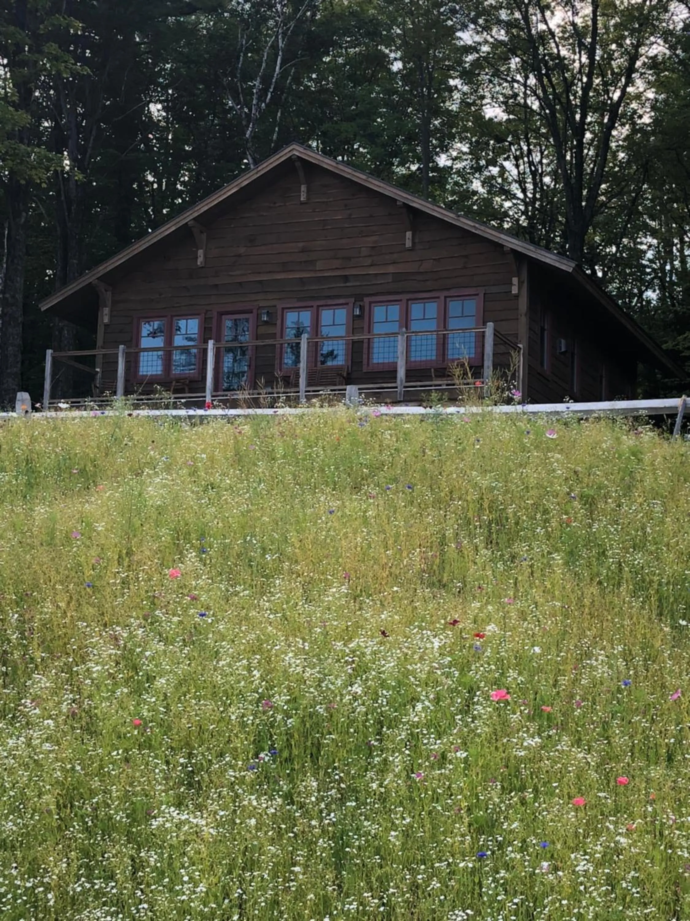 Garden in Seesaw's Lodge