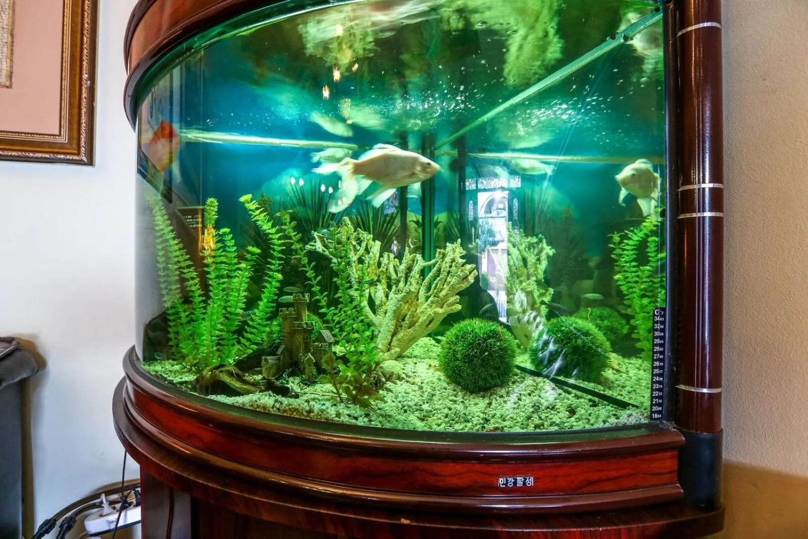 Lobby or reception in Voila Inn