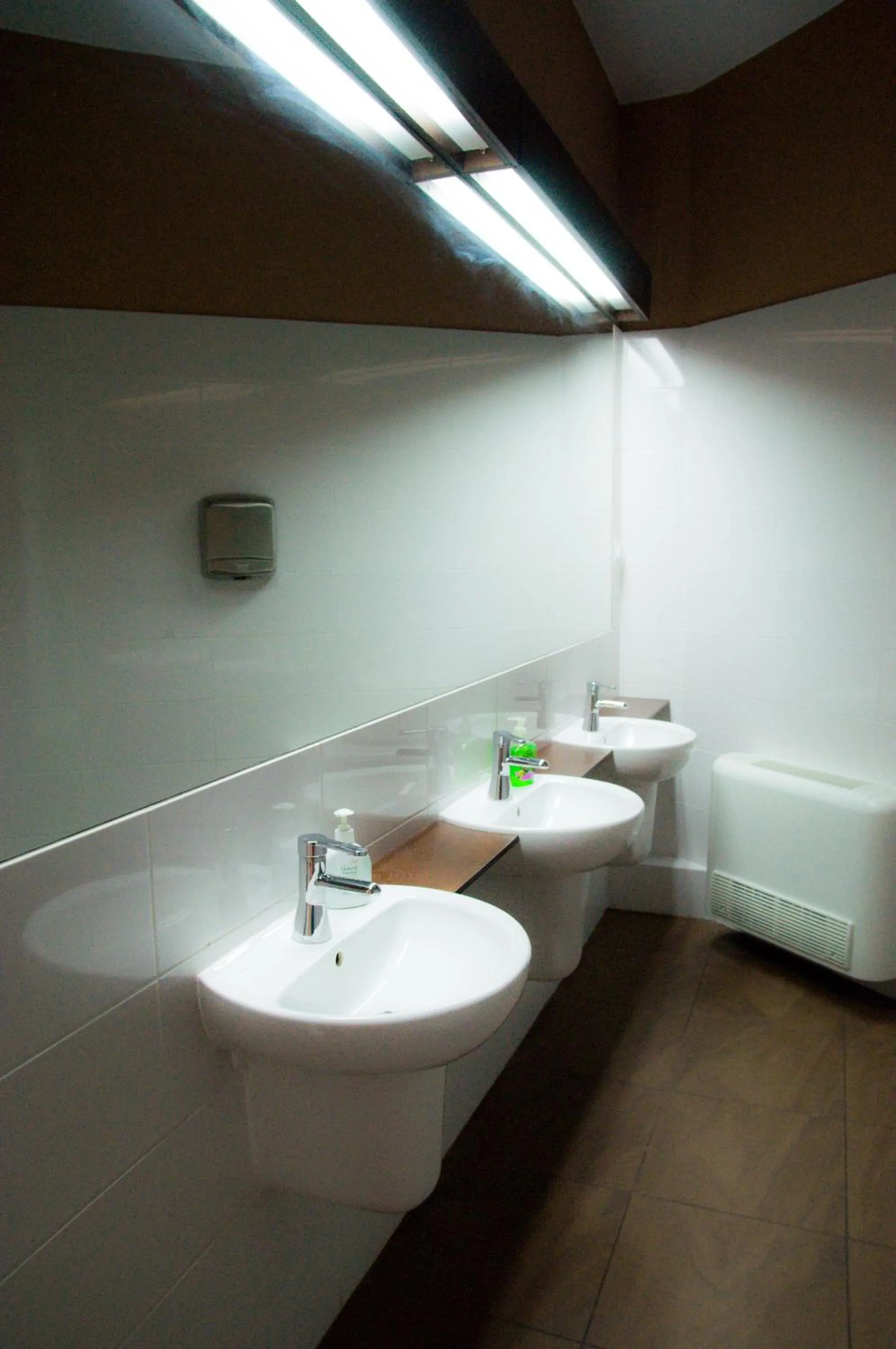 Bathroom in Grampa's Hostel