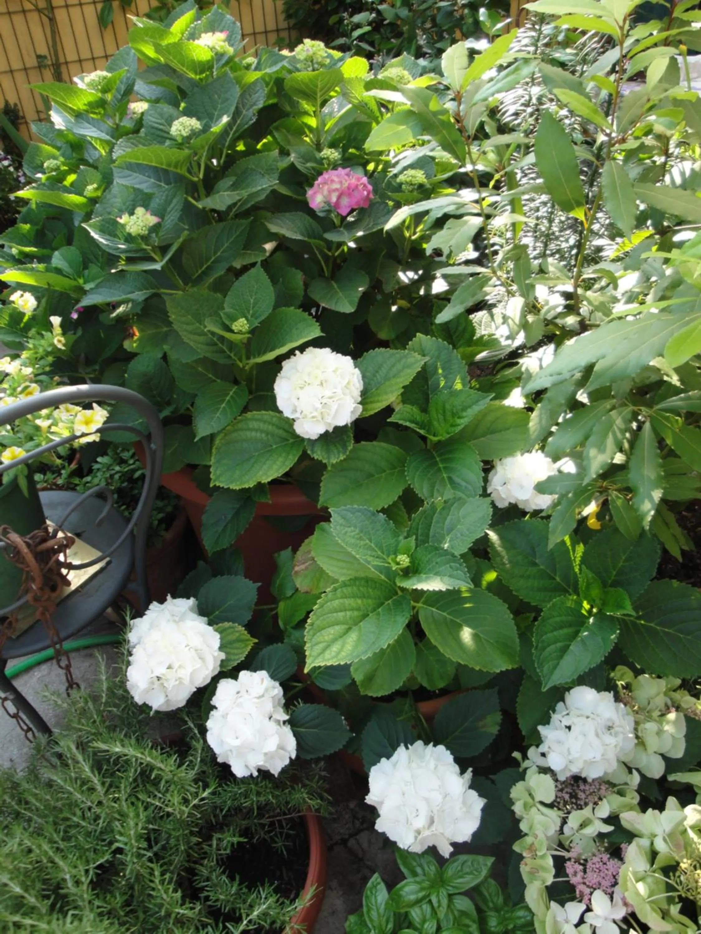 Decorative detail in The Tower Of The Old King