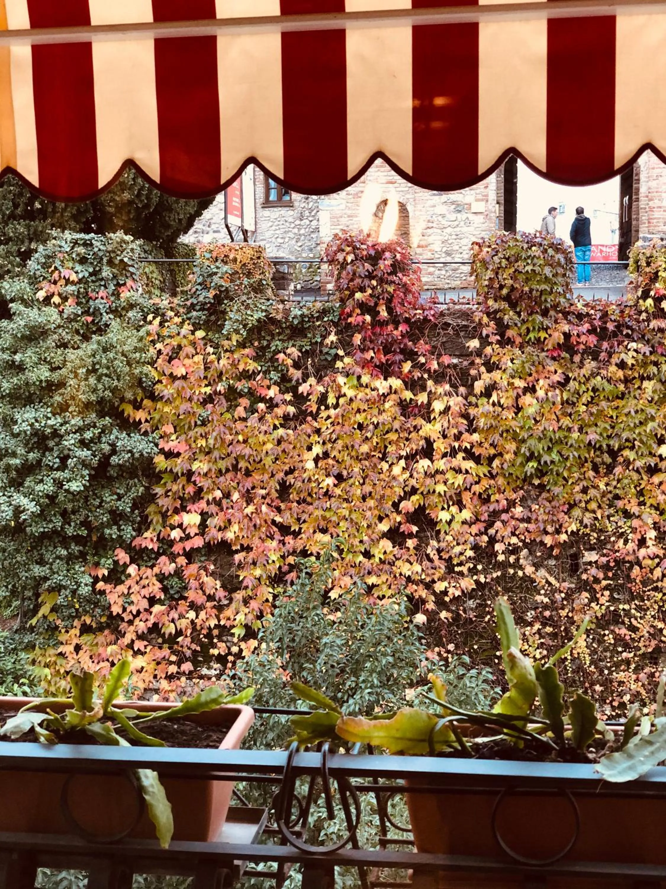 Balcony/Terrace in The Tower Of The Old King