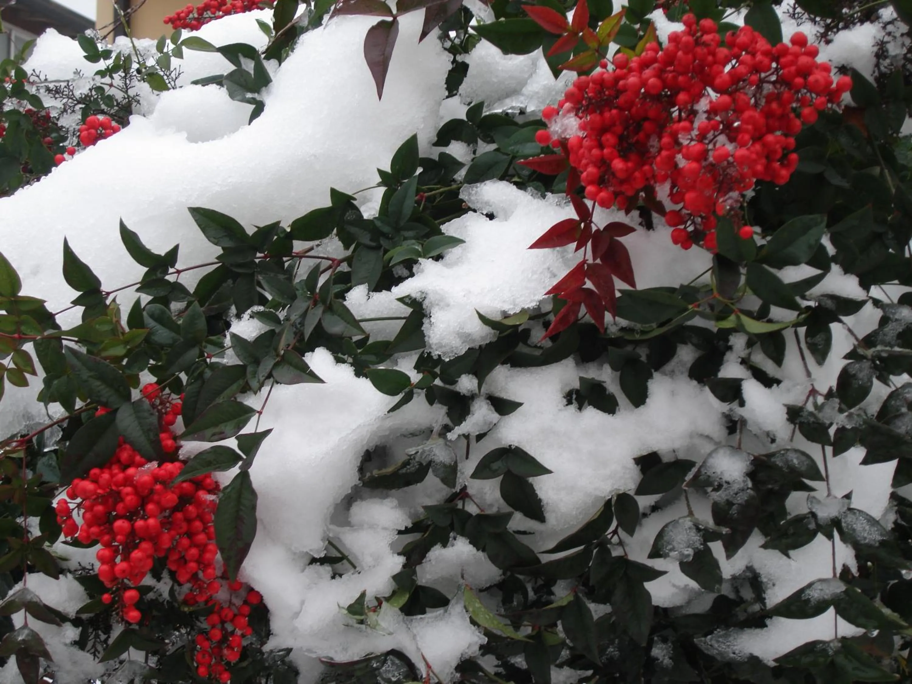 Day in The Tower Of The Old King