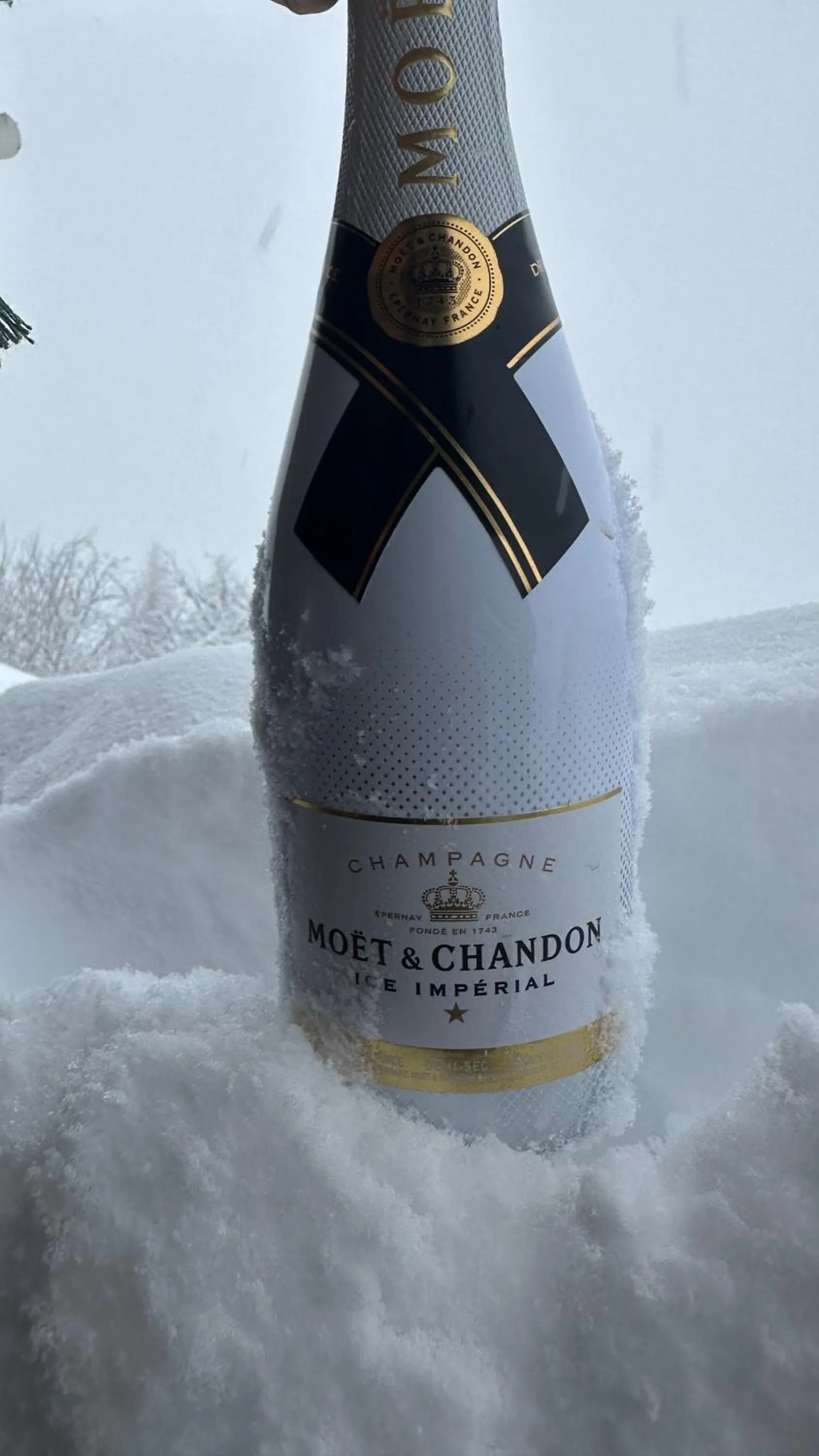 Hocheckhuette On Top of the Kitzbuehel Hahnenkamm Mountain