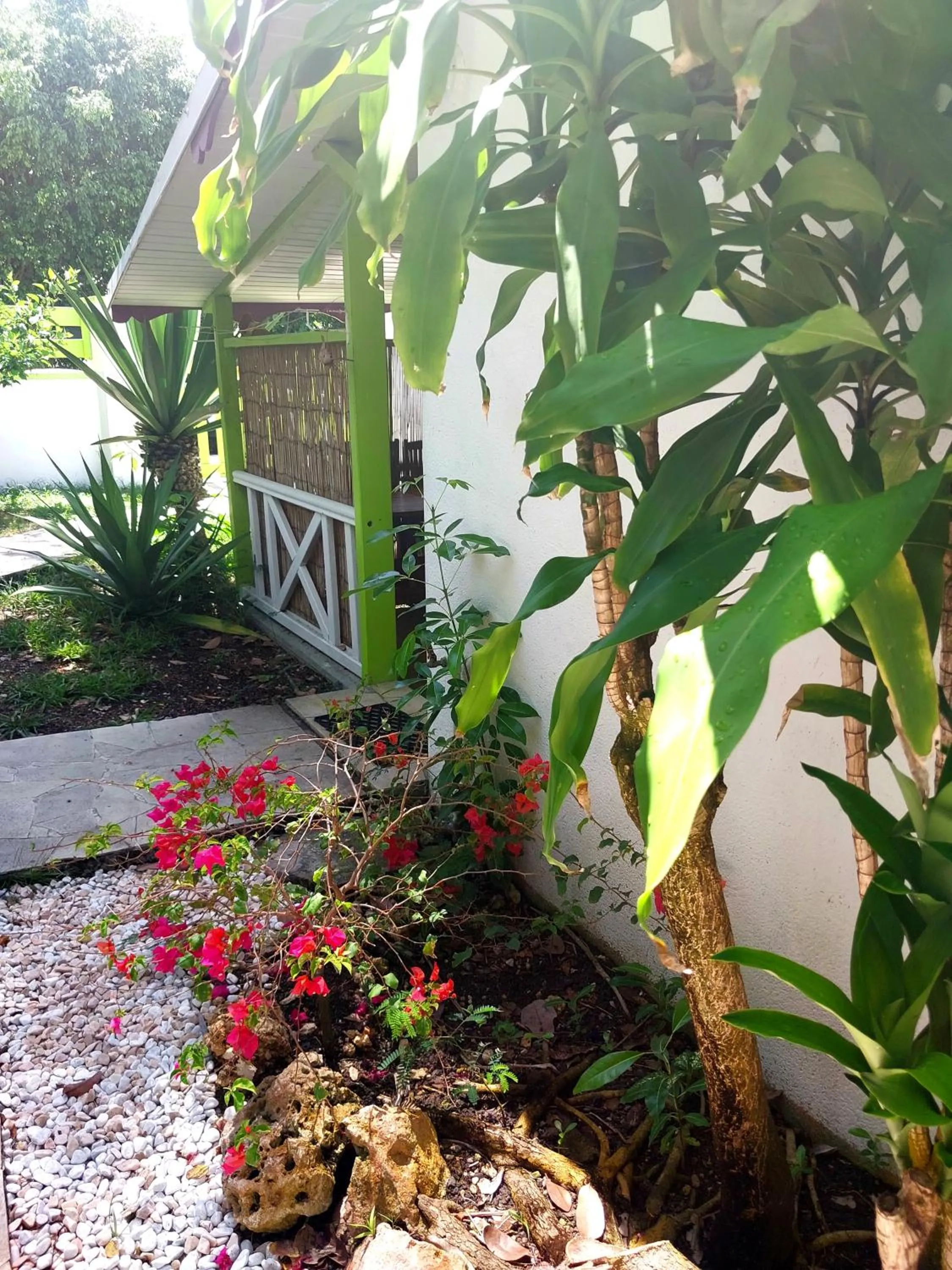 Garden in Logisrev