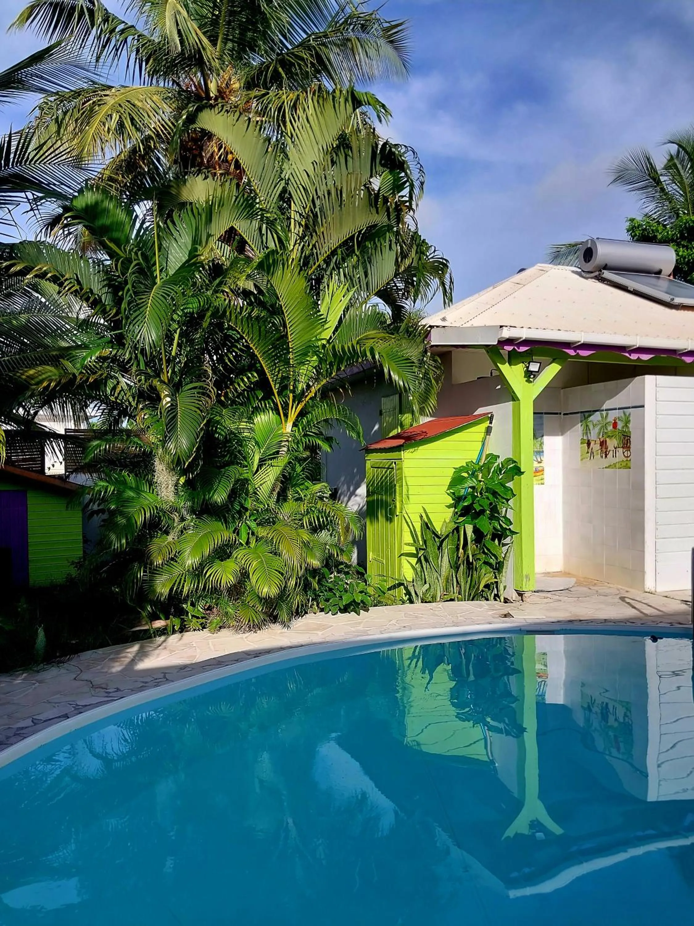 Swimming pool in Logisrev