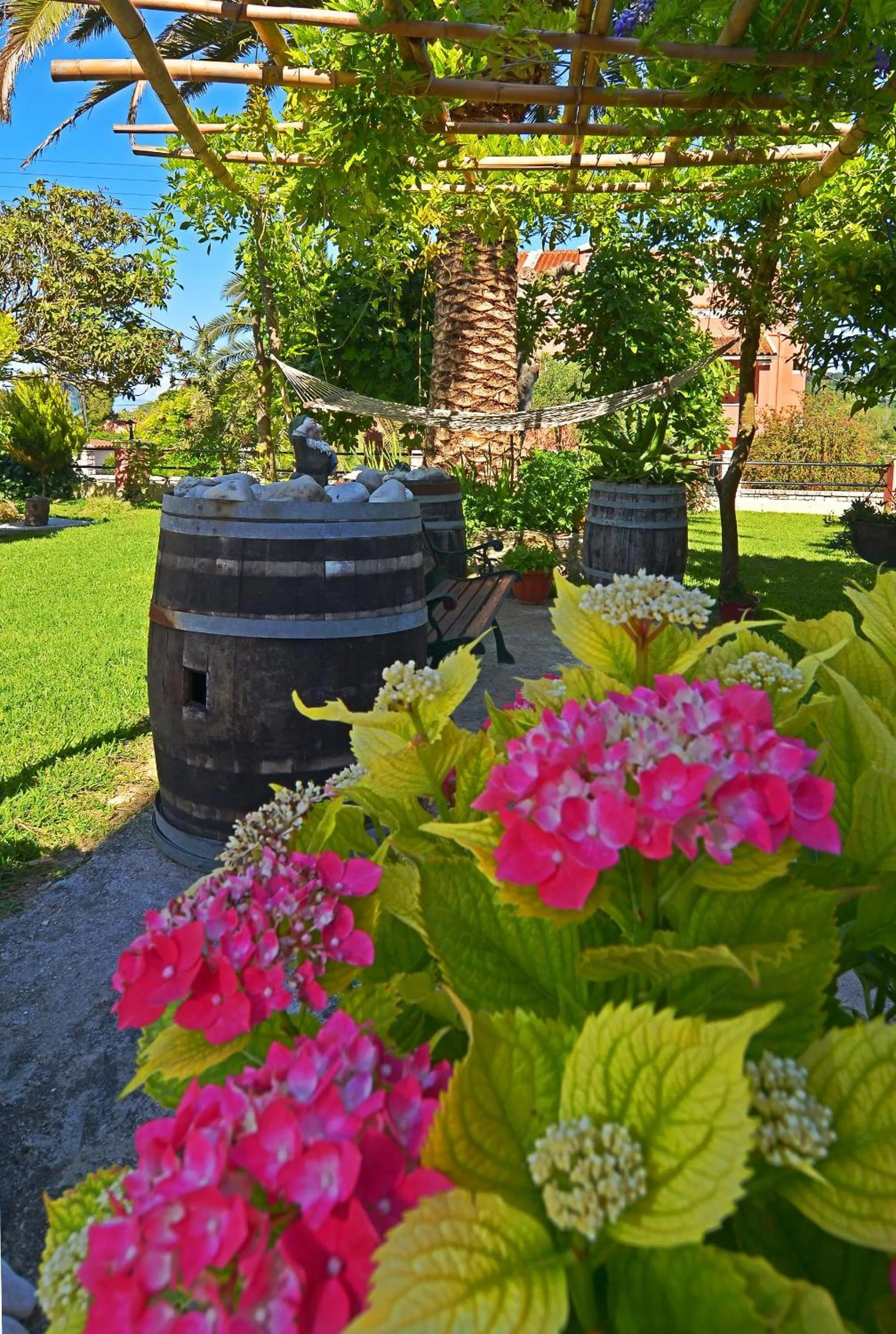 Garden in Othonas Apartments