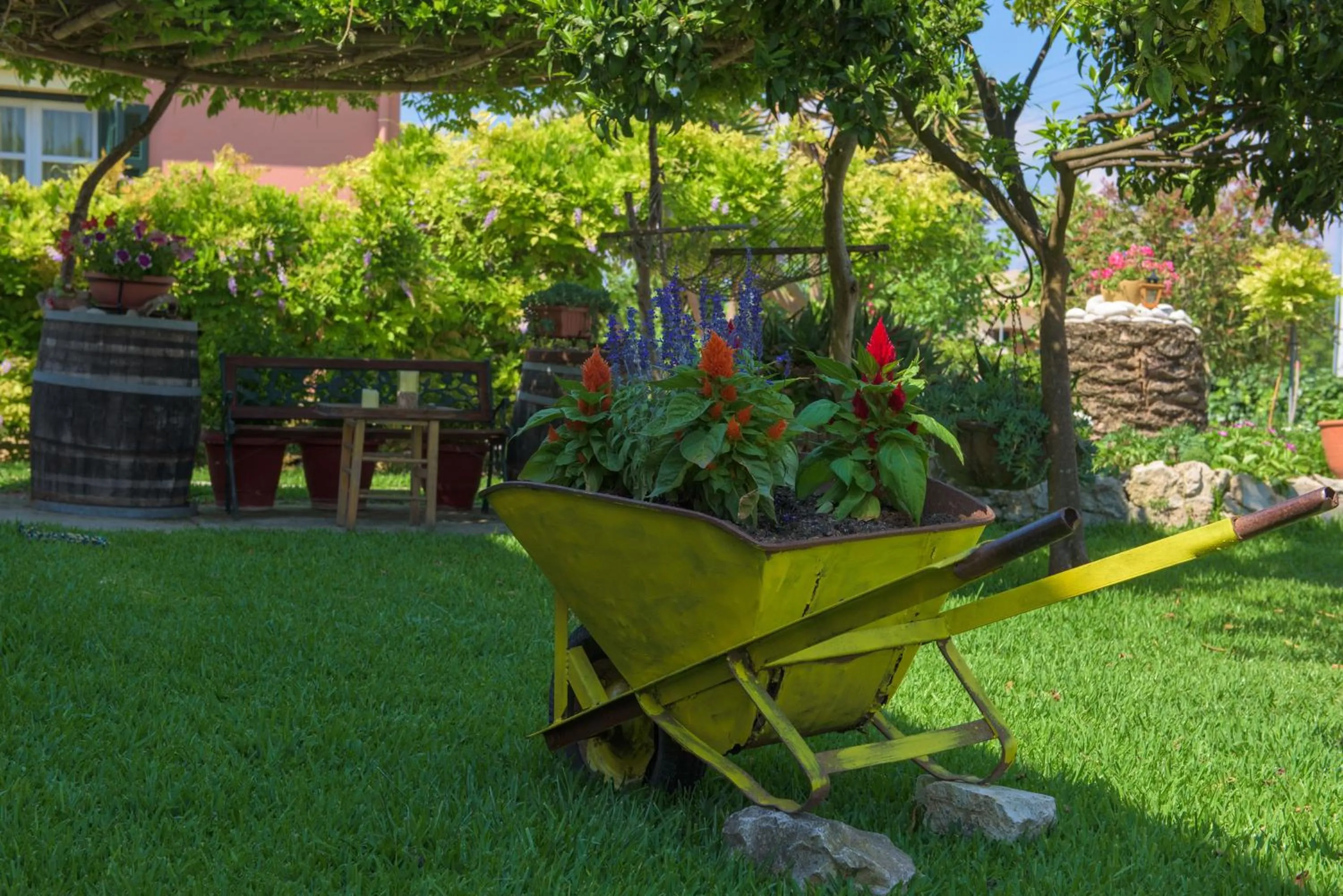 Garden in Othonas Apartments