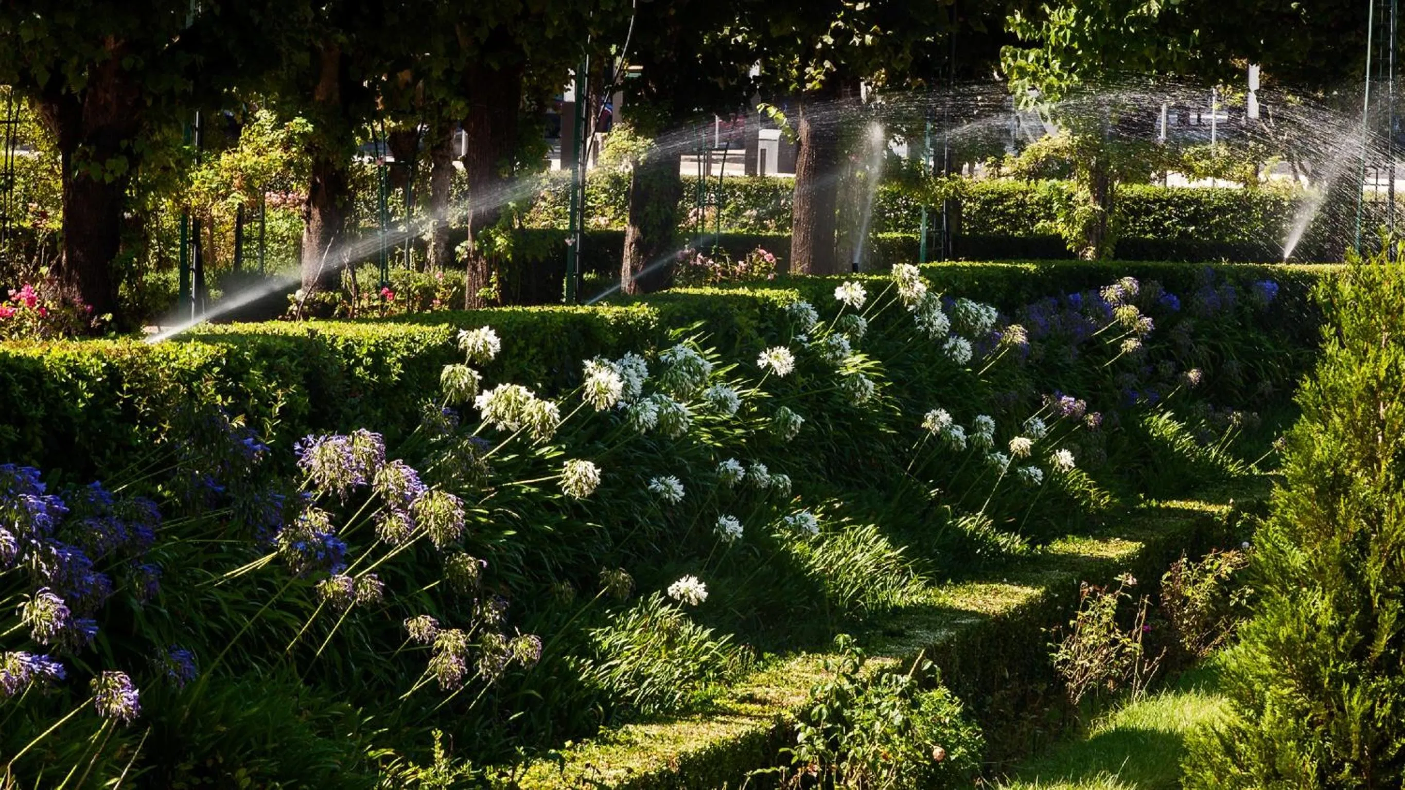 Garden in Curia Palace Hotel & Spa