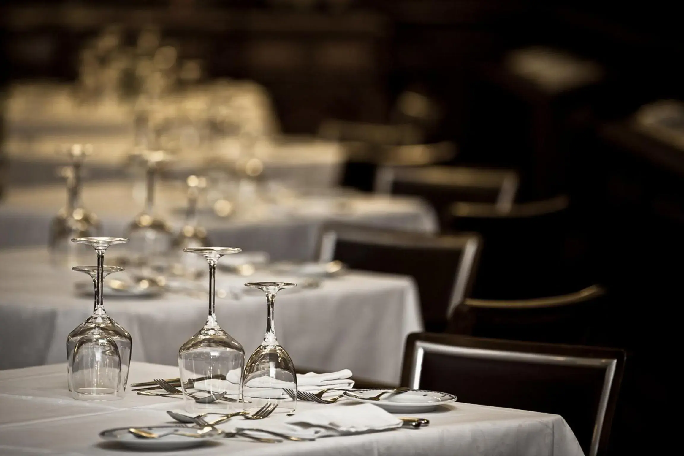 Restaurant/places to eat in Curia Palace Hotel & Spa Restaurant/places to eat in Curia Palace Hotel & Spa