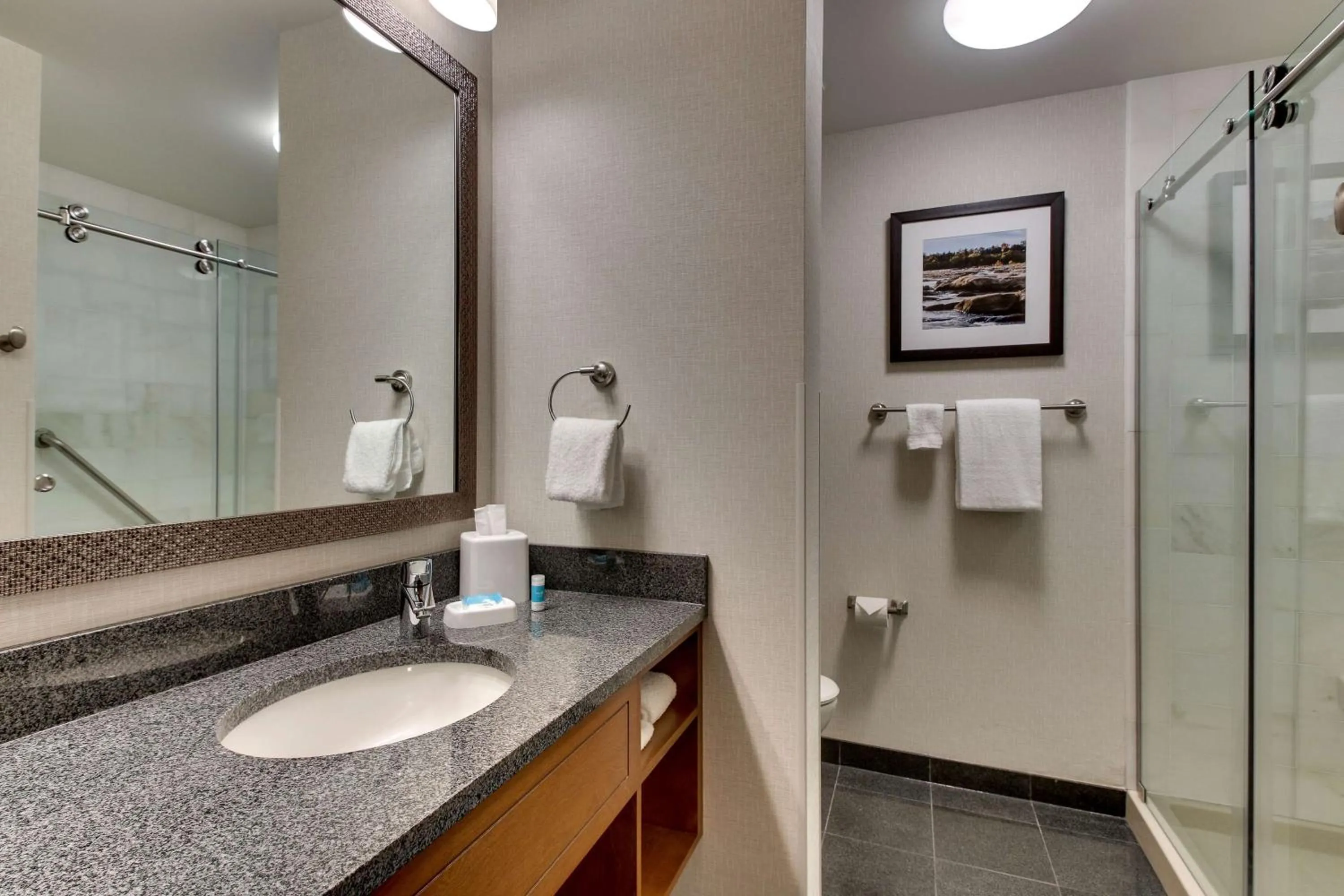 Bathroom in Drury Plaza Hotel Richmond