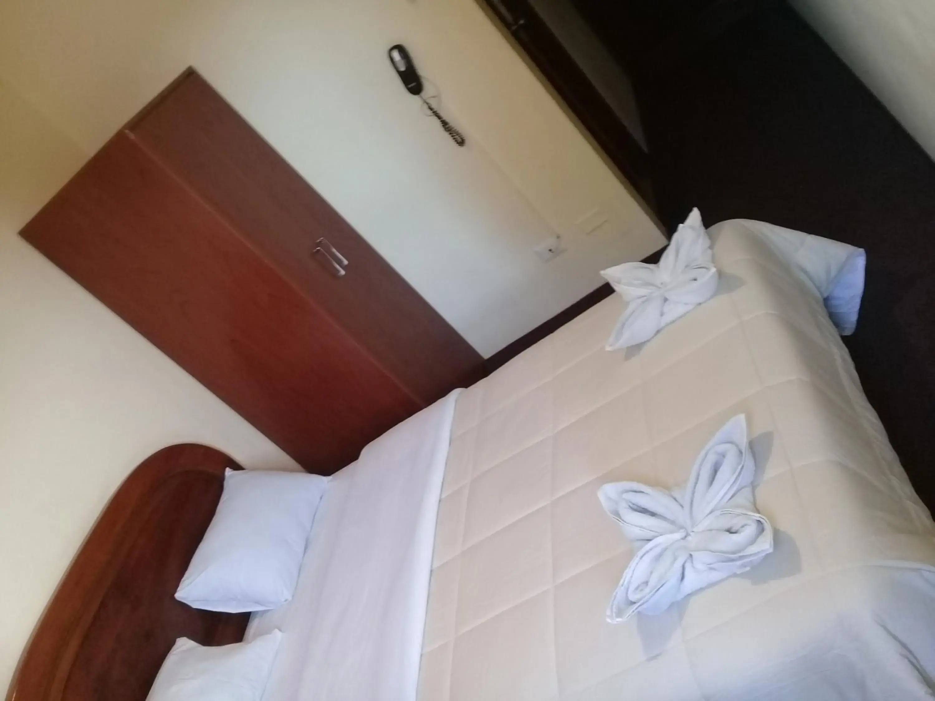Double Room in Hotel Mandarin Double Room in Hotel Mandarin