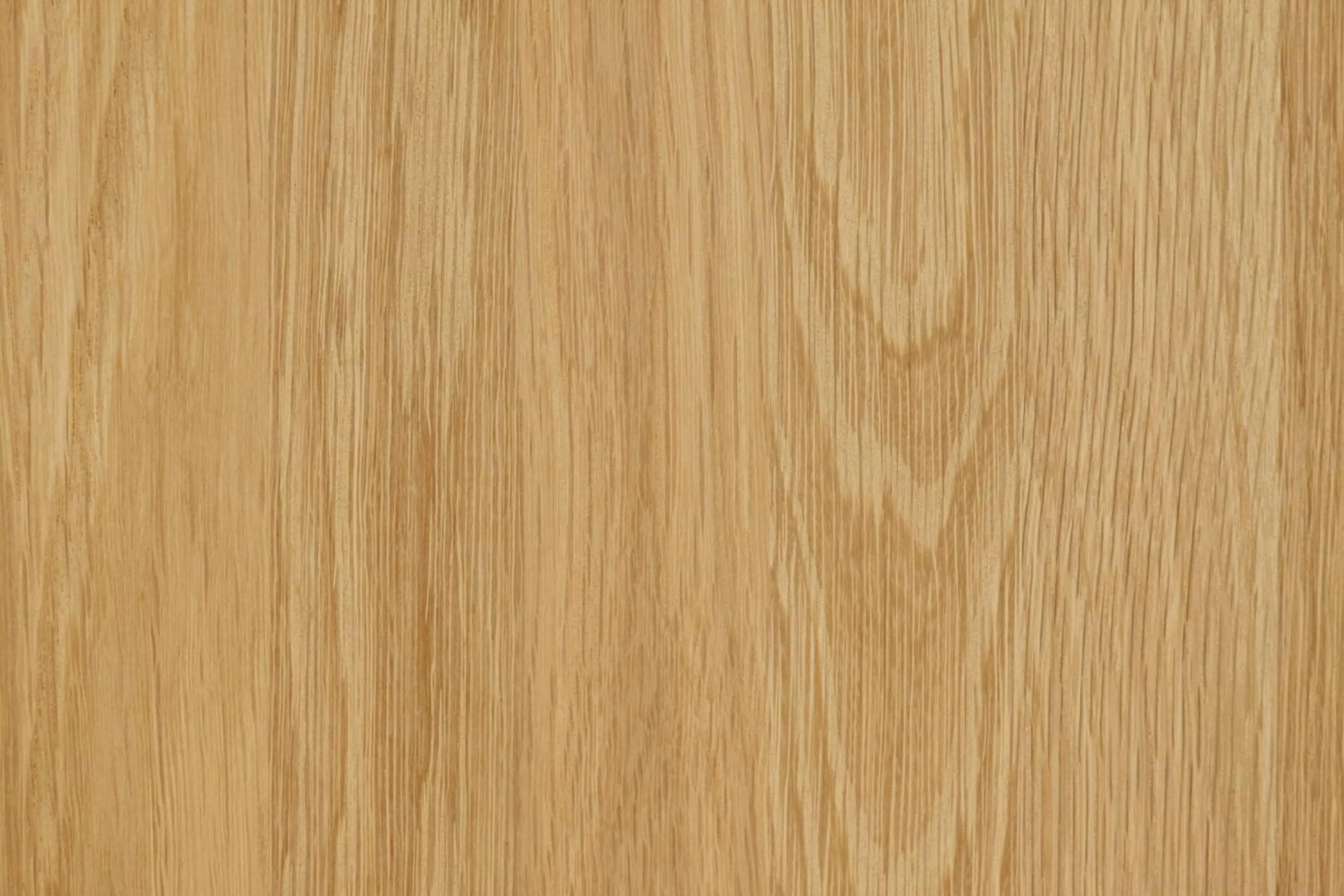 Decorative detail in Les Chants d'Ailes - Hôtel Face Mer