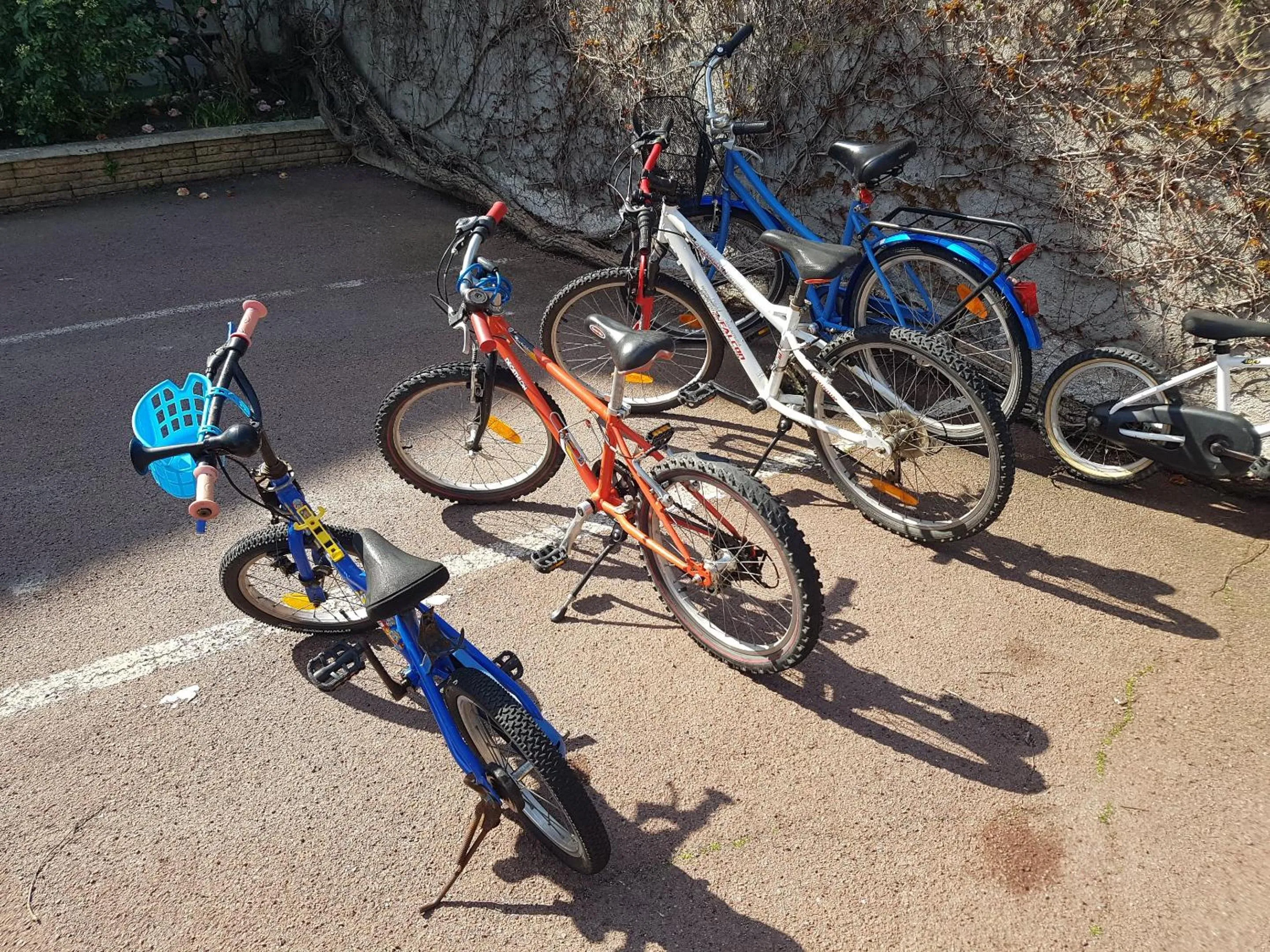 Cycling in Les Chants d'Ailes - Hôtel Face Mer