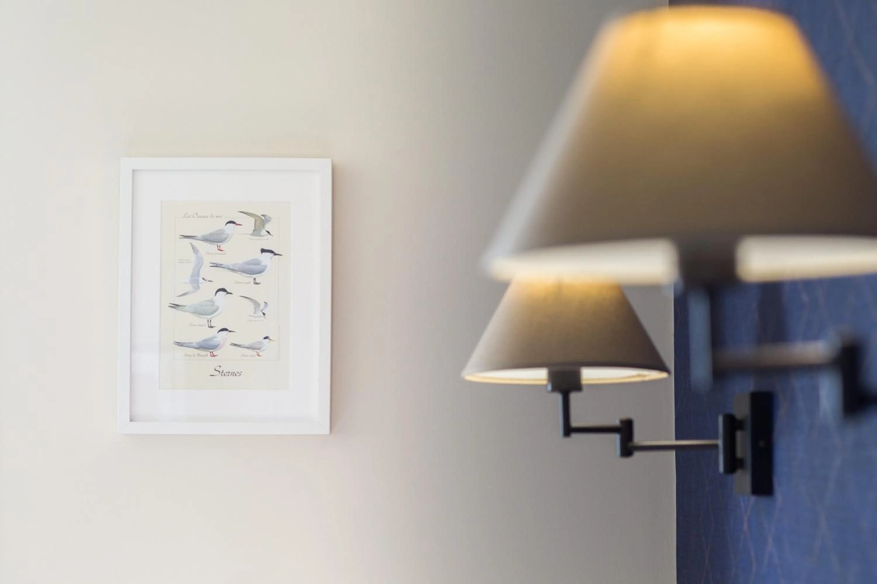 Decorative detail in Les Chants d'Ailes - Hôtel Face Mer